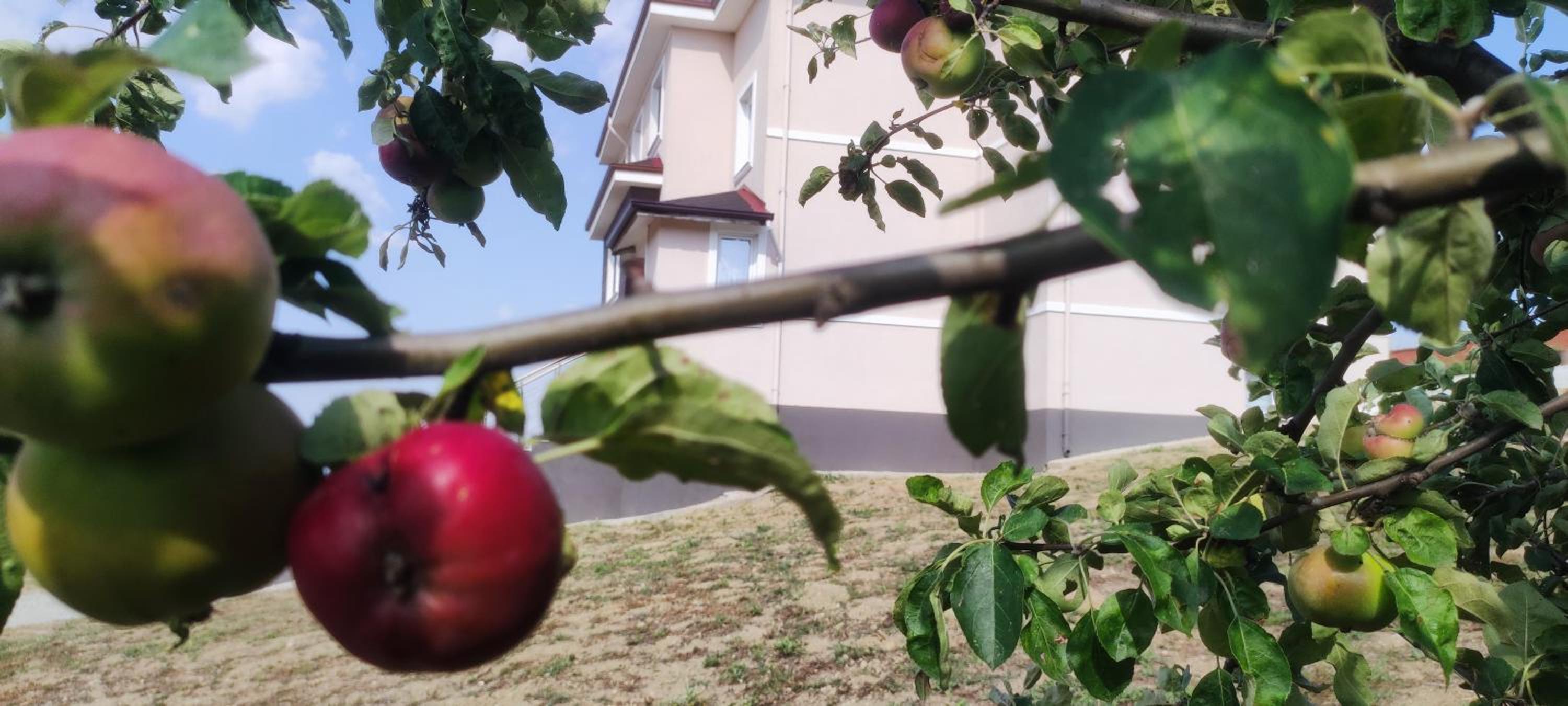 Photo 48