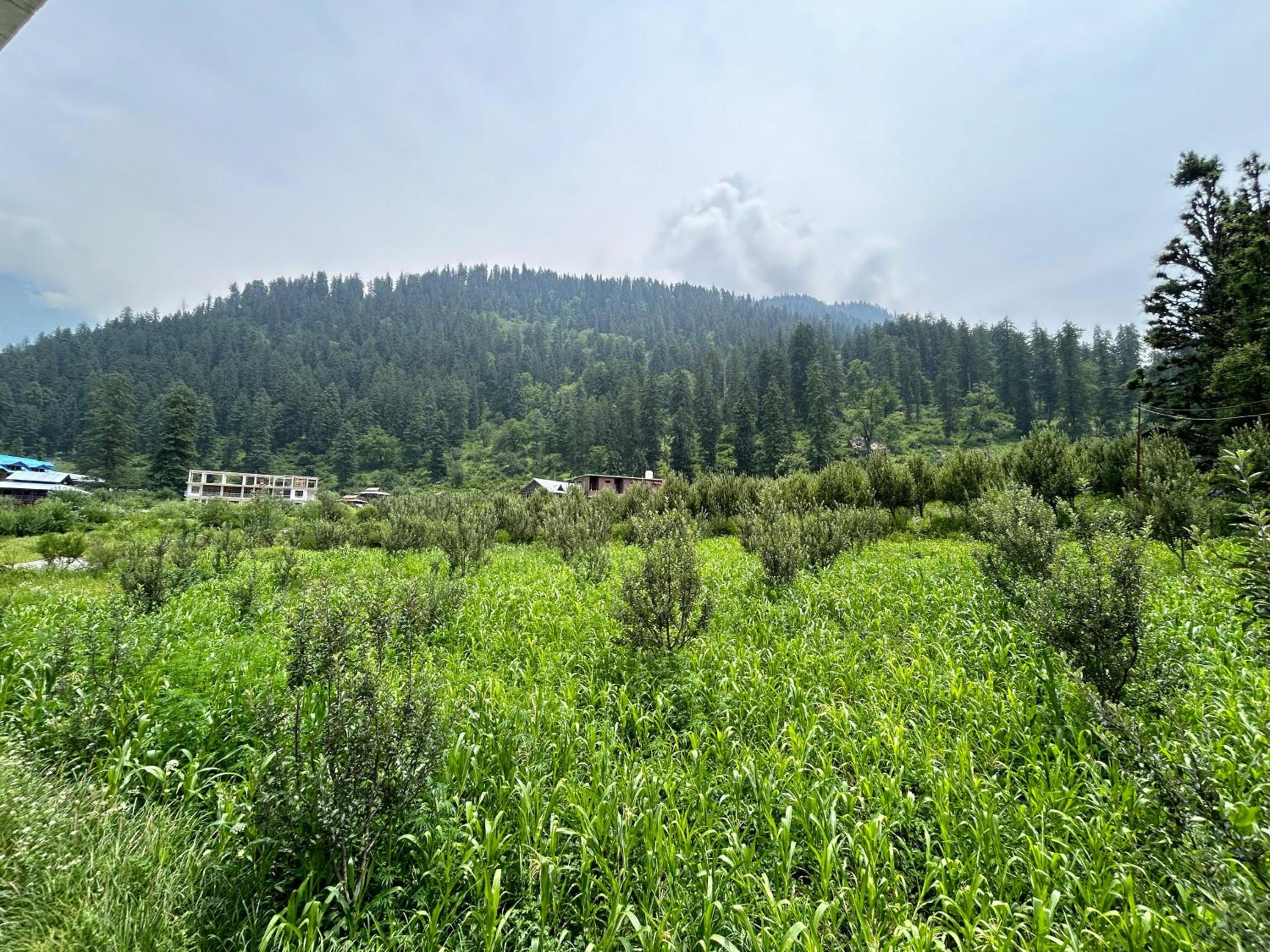 Photo 46