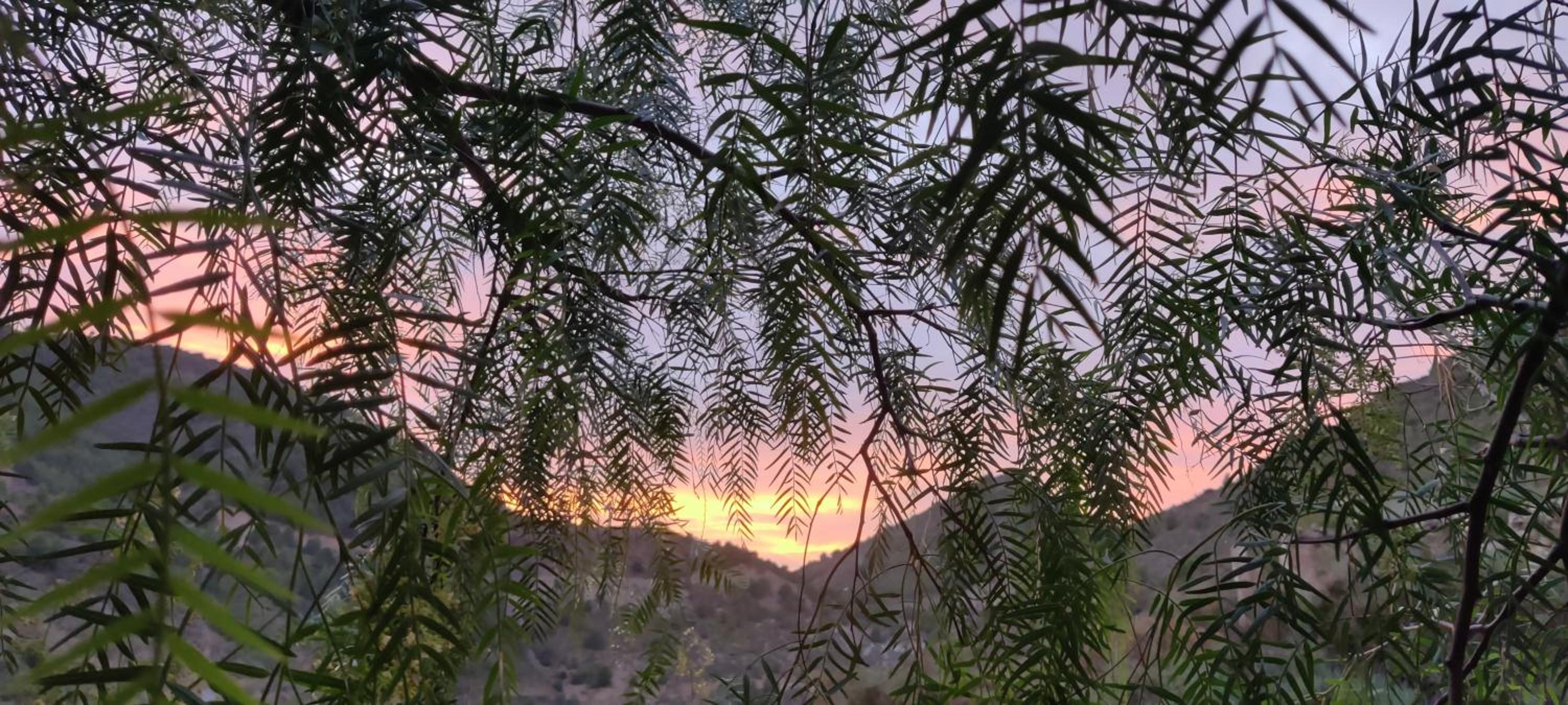 Off grid guesthouse - Puerto Mika - Casa Lucía view 5