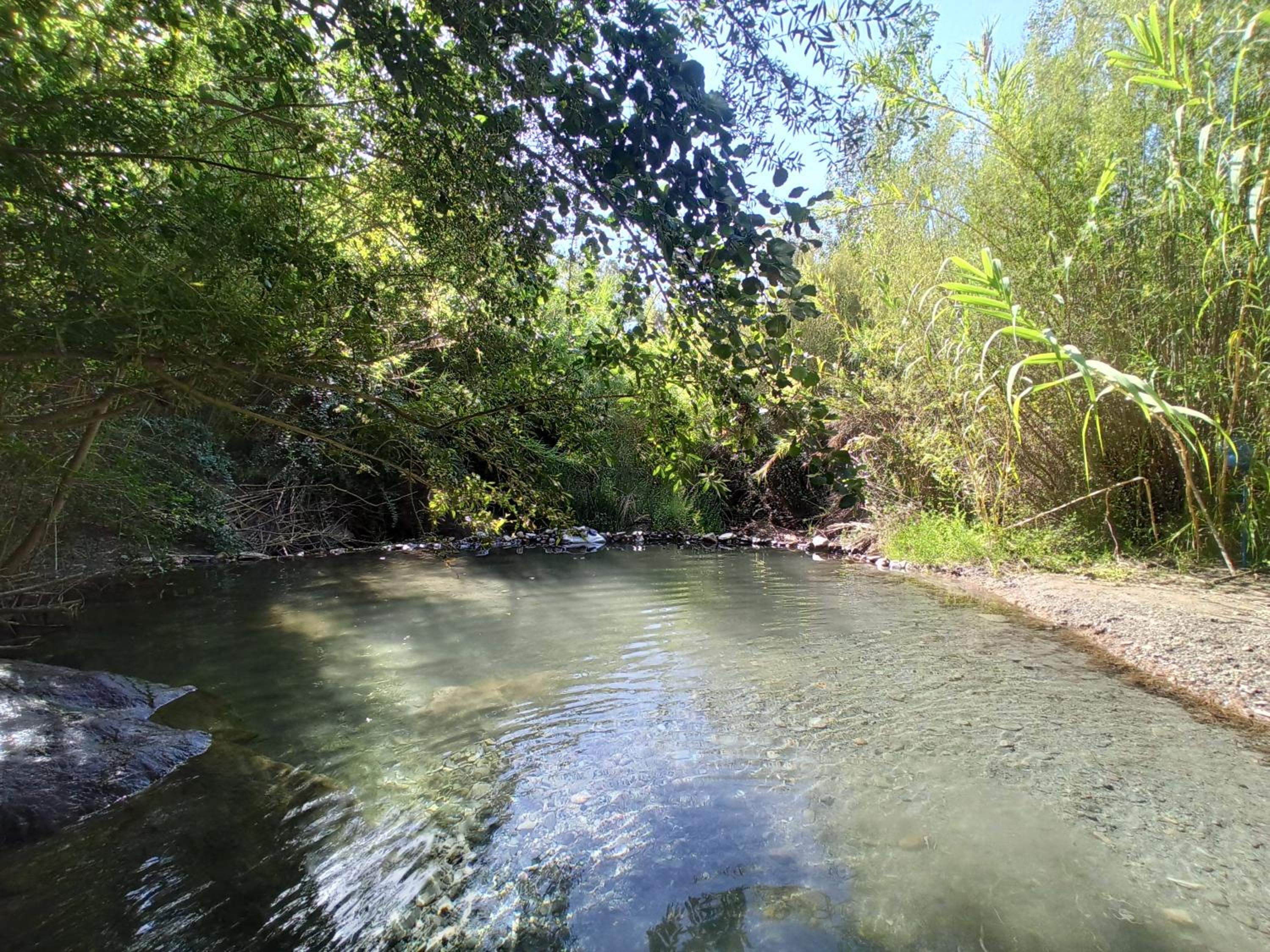 Photo 22