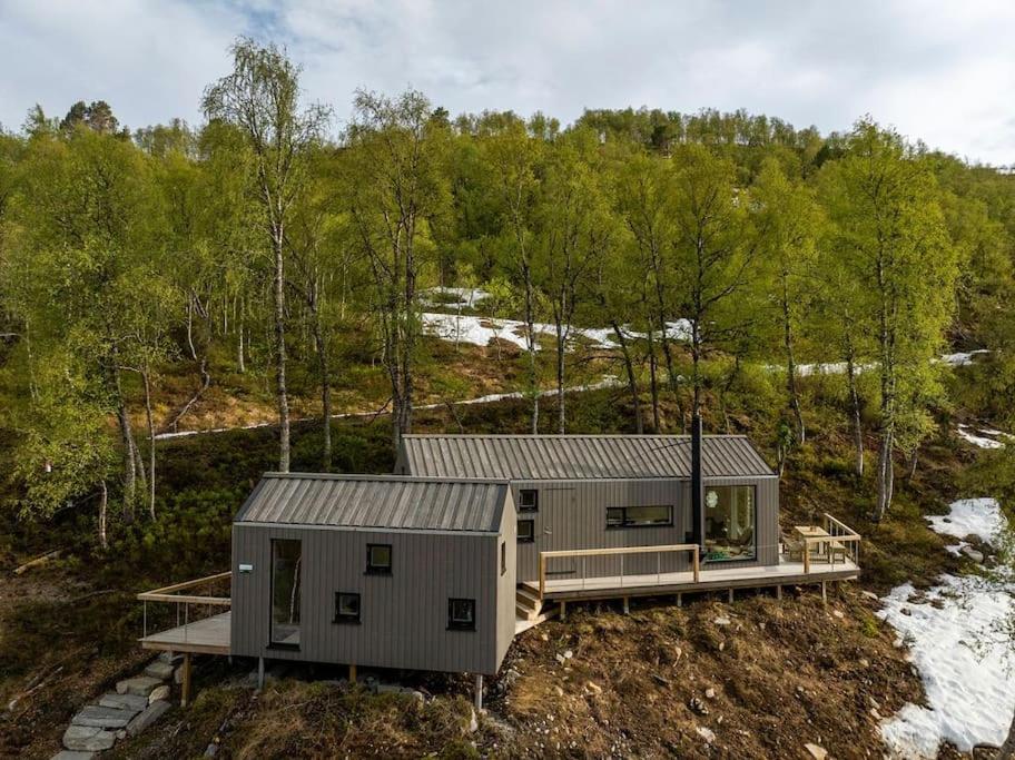 Tiny Mountain Cabin I