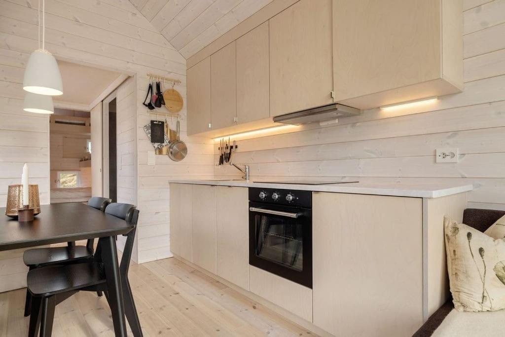 Tiny Mountain Cabin I