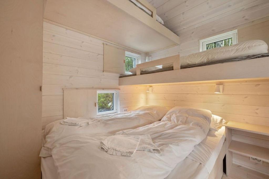 Tiny Mountain Cabin I