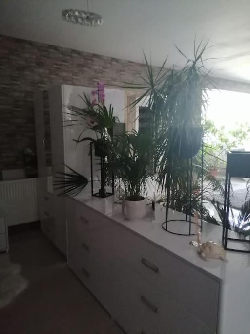 Casa RiAn view 3
