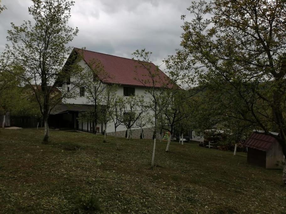 Photo 37
