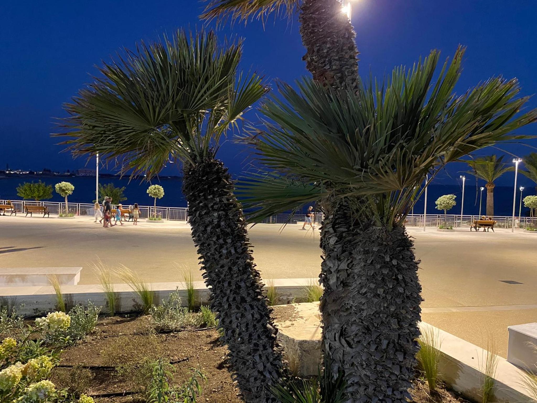 Villetta Conteamare photo 3