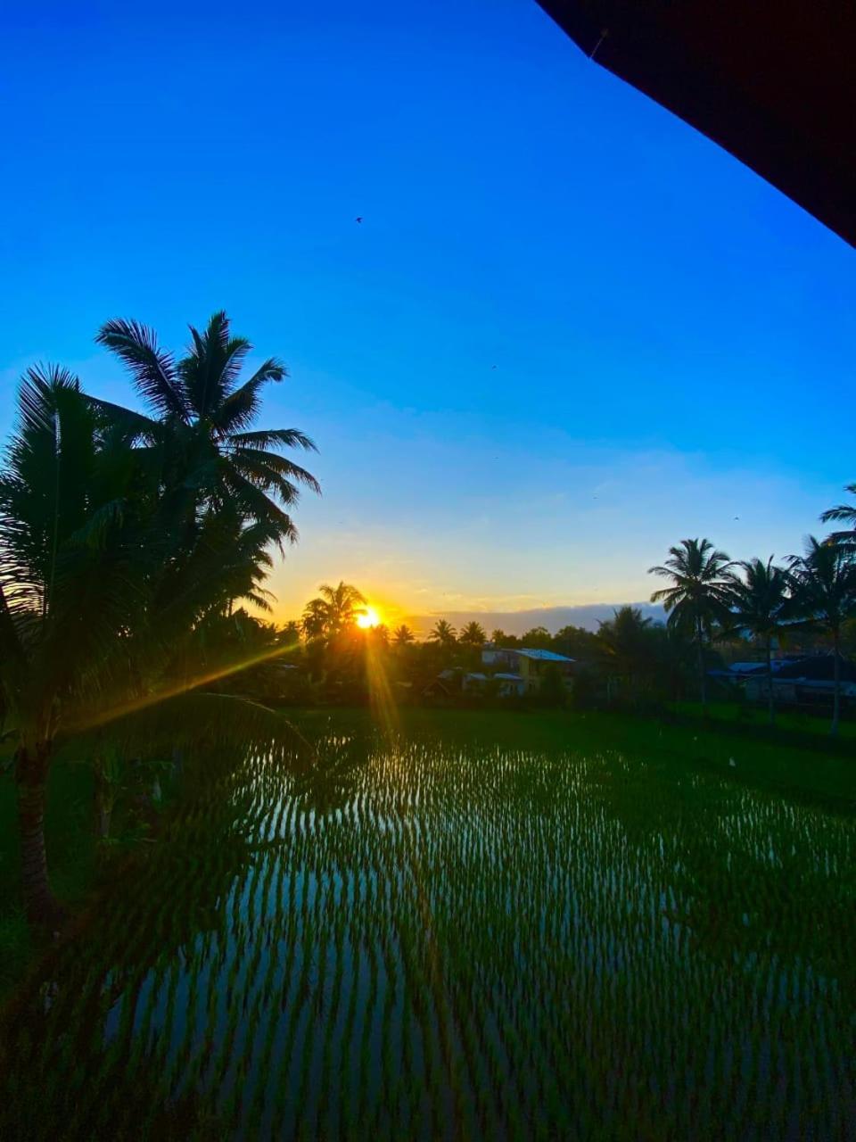 ARISTA Homestay