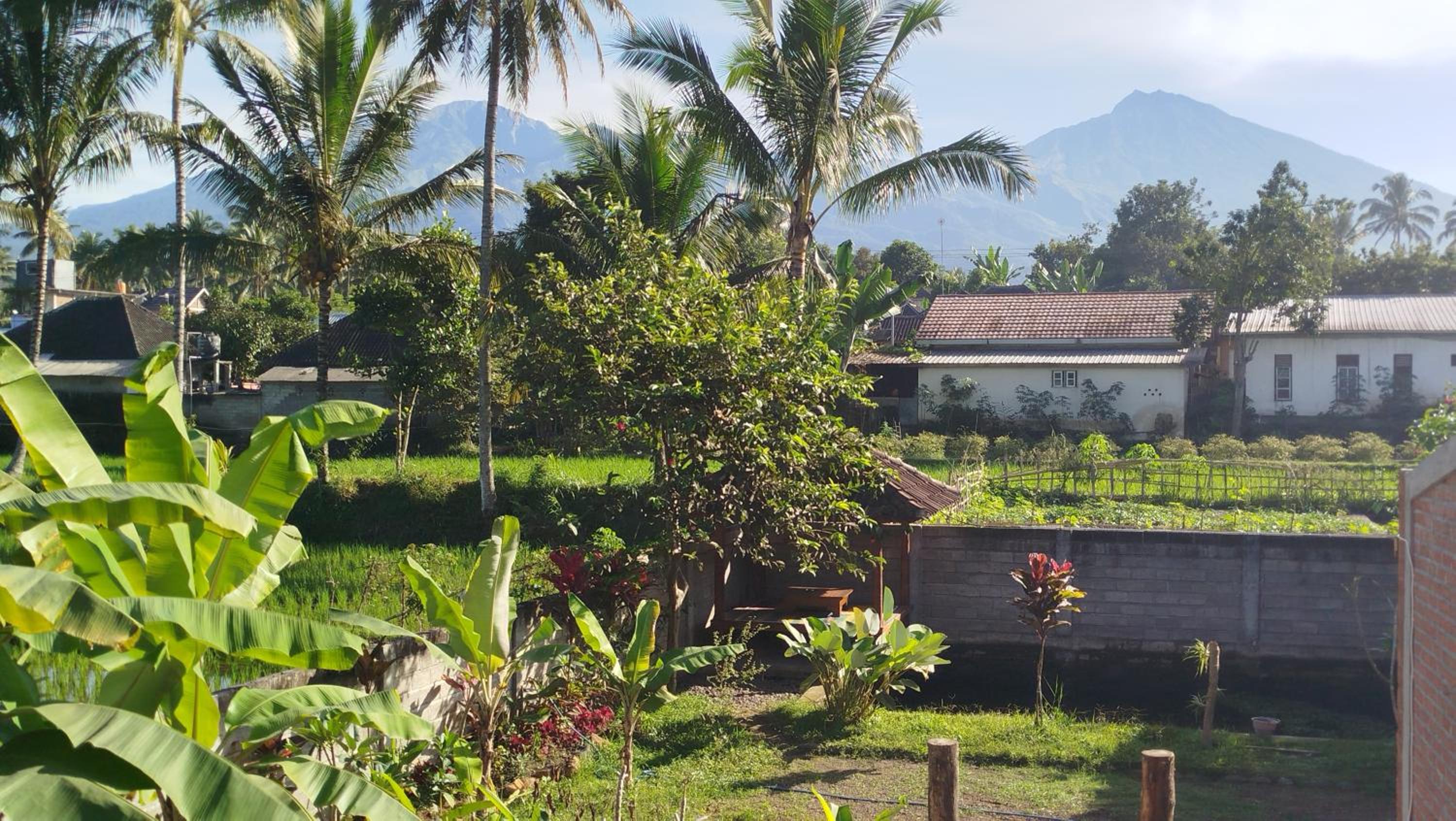 ARISTA Homestay