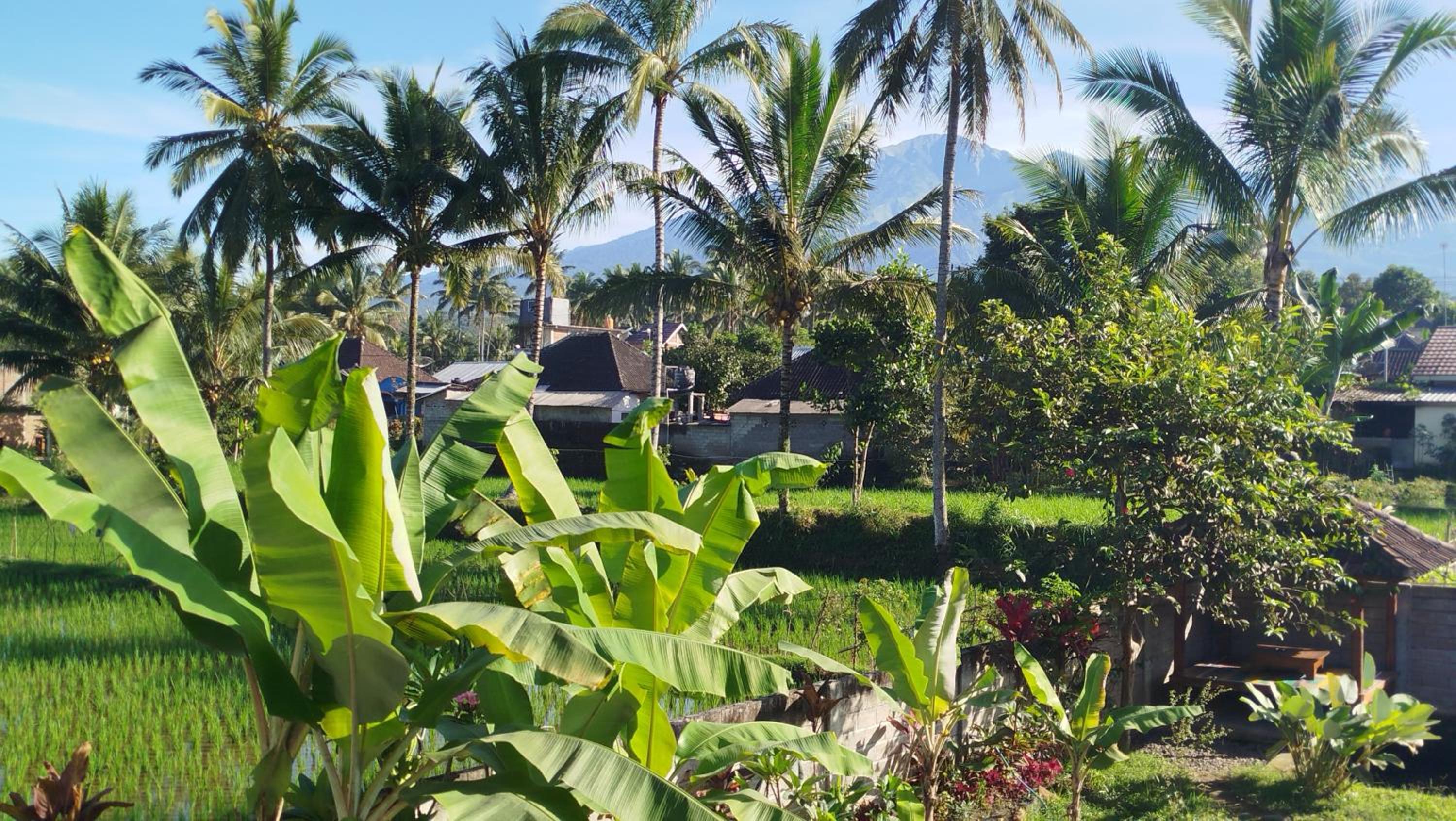 ARISTA Homestay