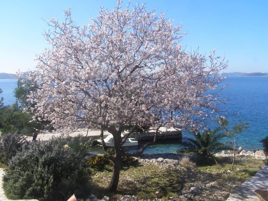 Kuća za odmor Island just for You- Island Sit