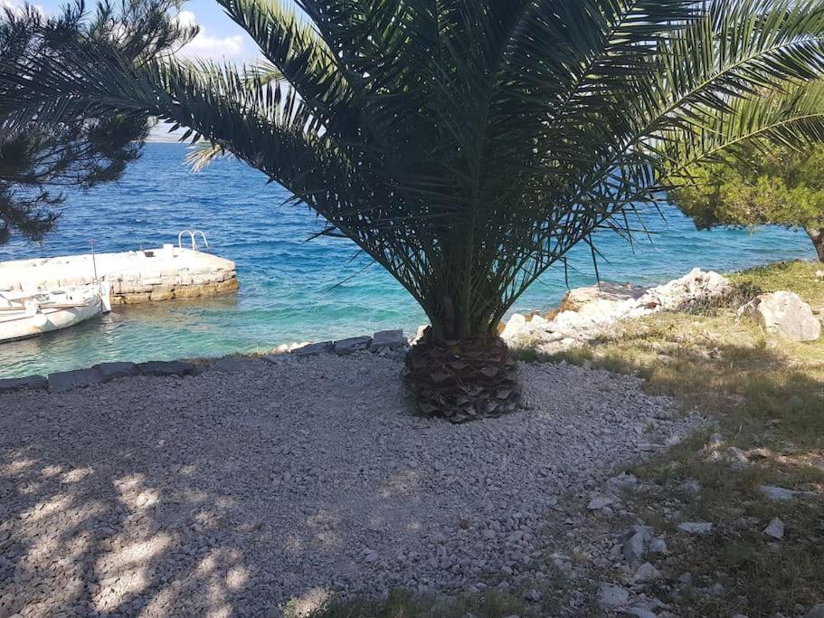 Kuća za odmor Island just for You- Island Sit
