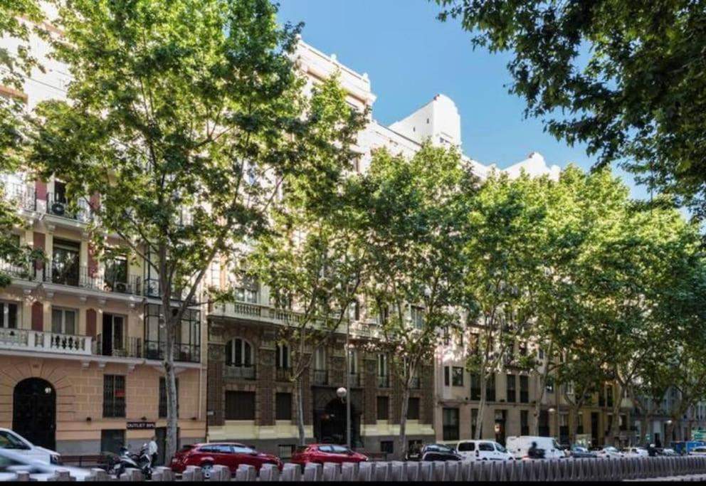 Stylish flat in the Salamanca neighbourhood VELAZ