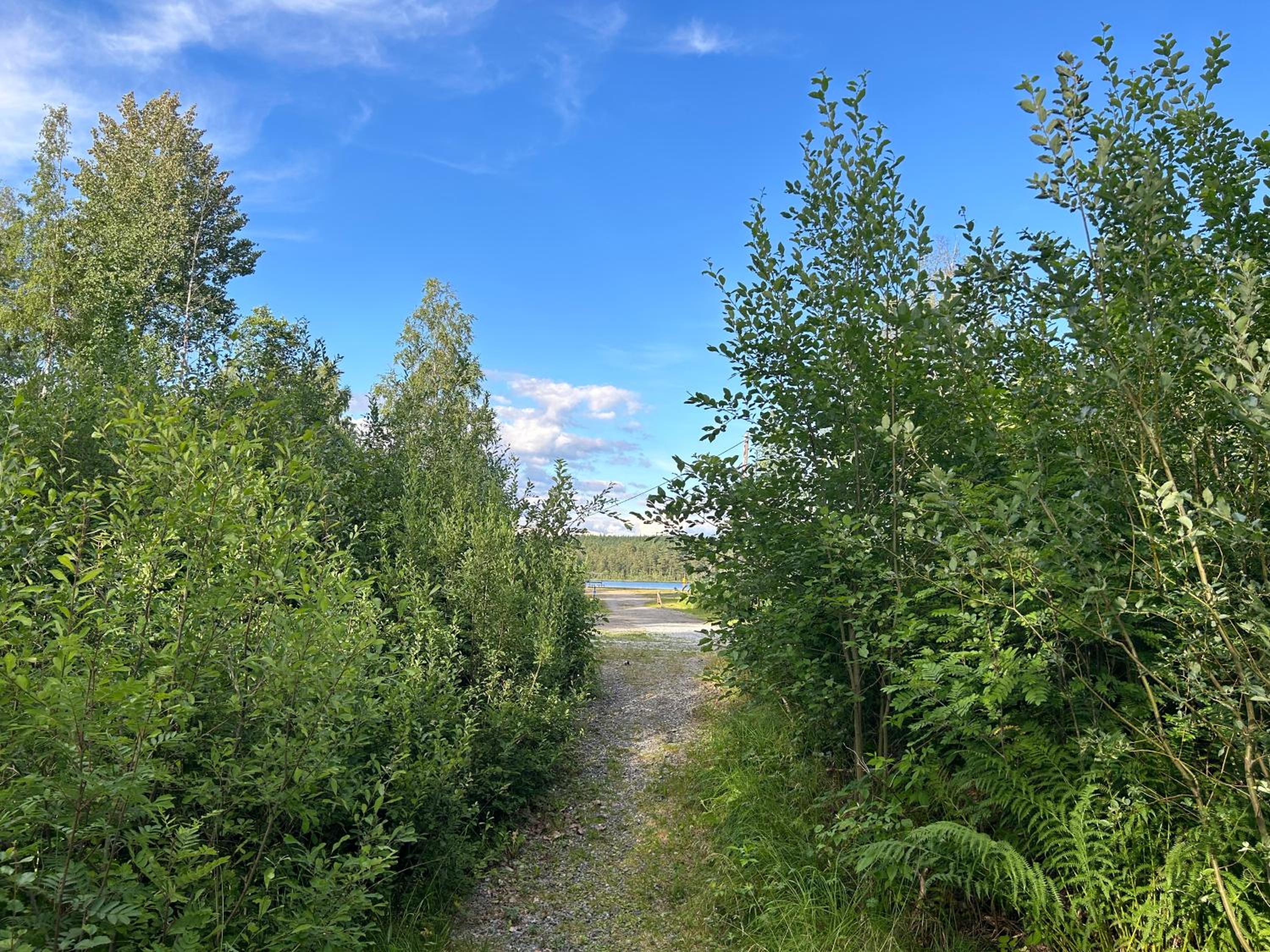 Photo 33