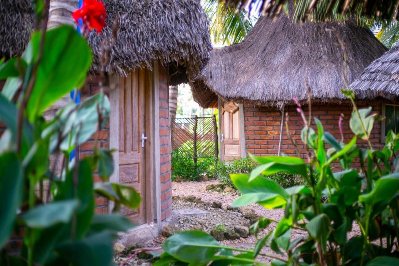 AFLII House view 3