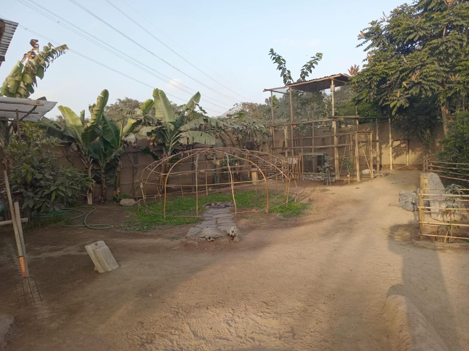 MKL Pachacamac