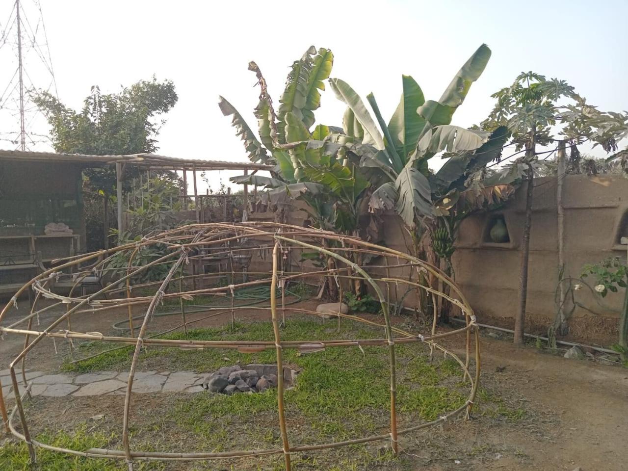 MKL Pachacamac