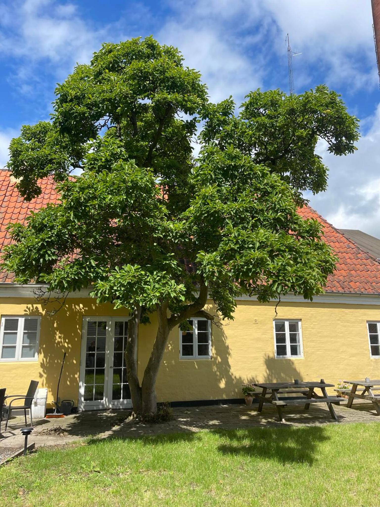 Faaborg Vandrerhjem