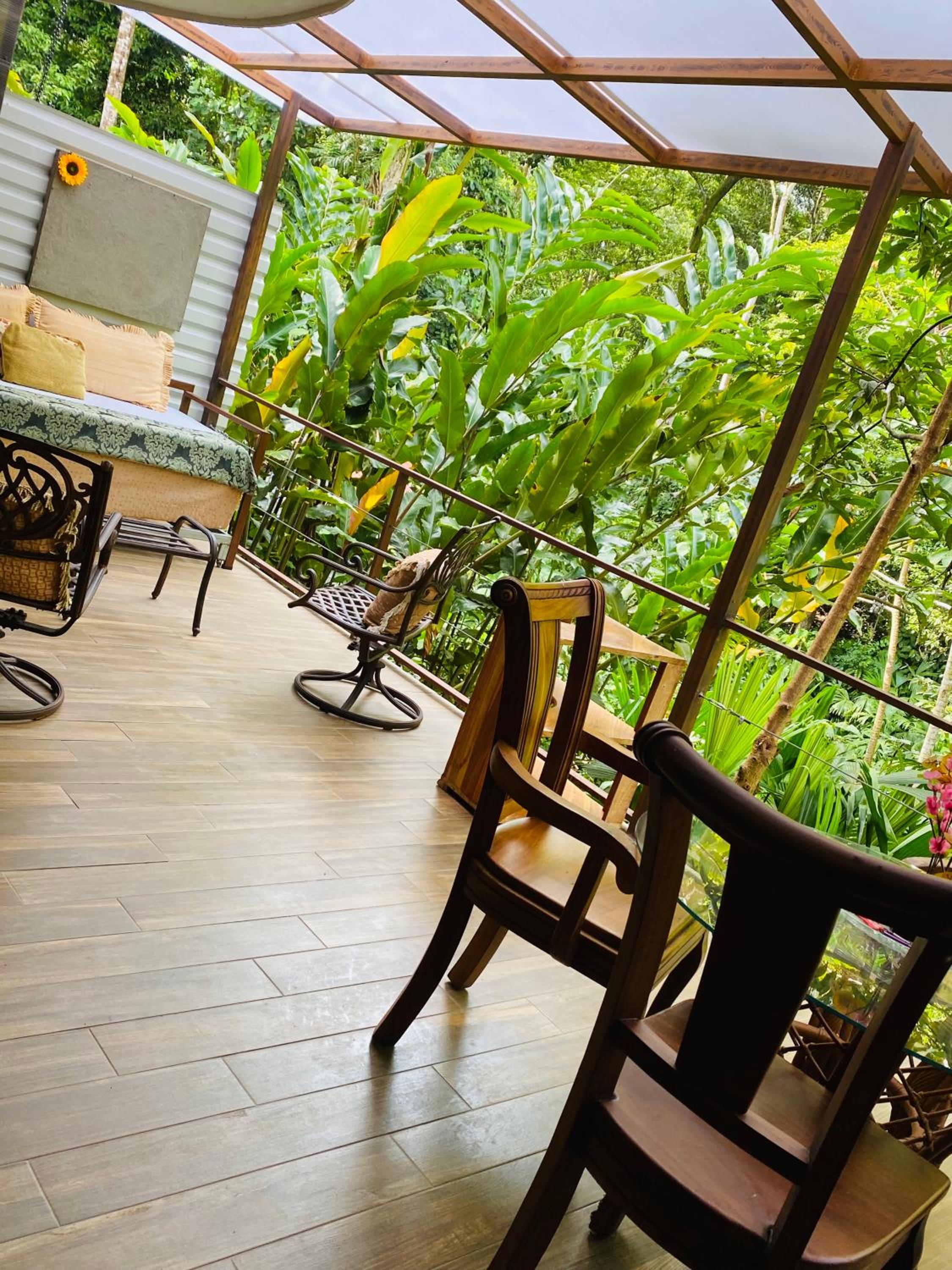 Enchanted Jungle Apartamento
