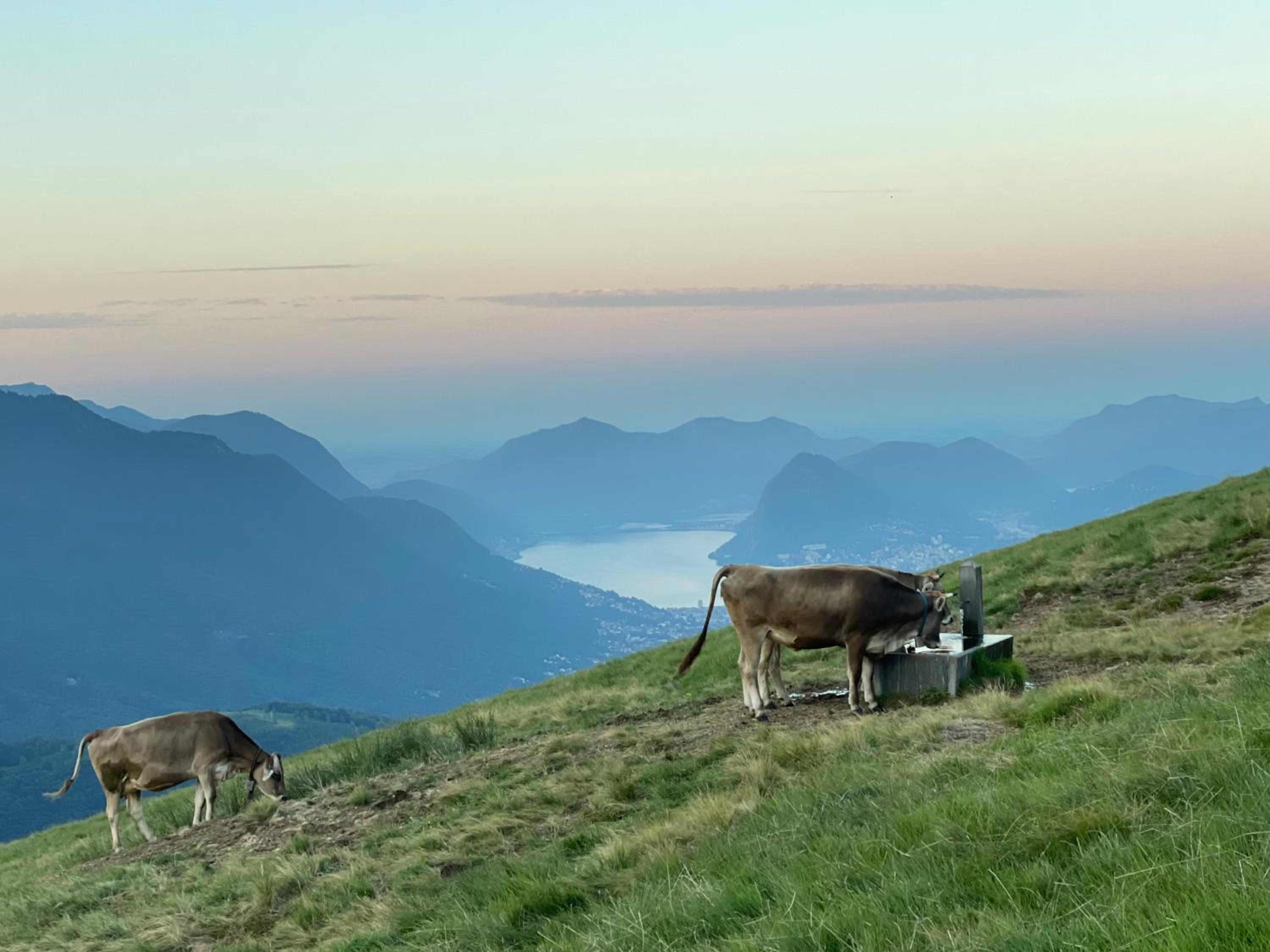 Agriturismo Alpe Rompiago