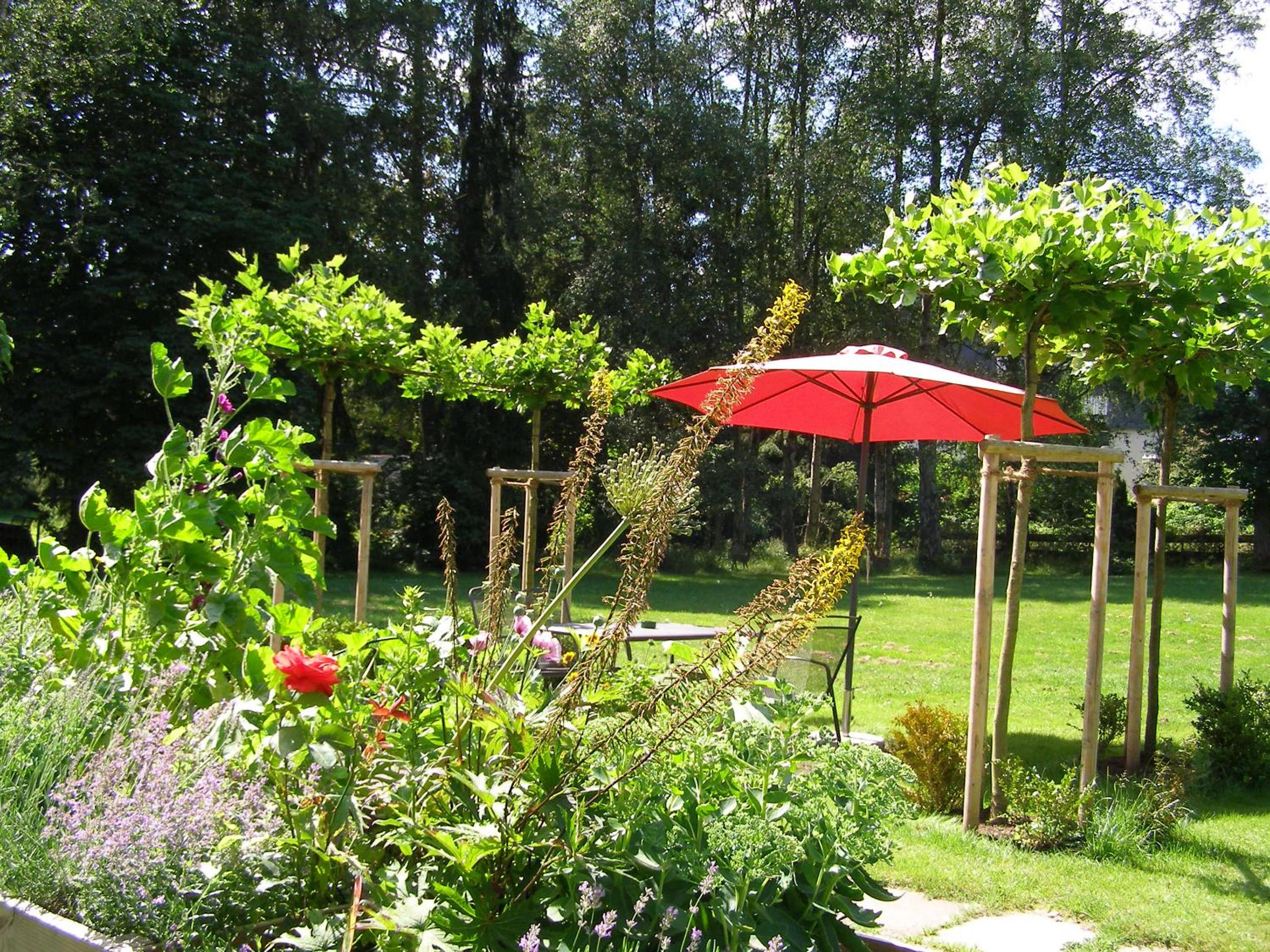 Hotel Haus Katharina B&B, Therme und Kurpark