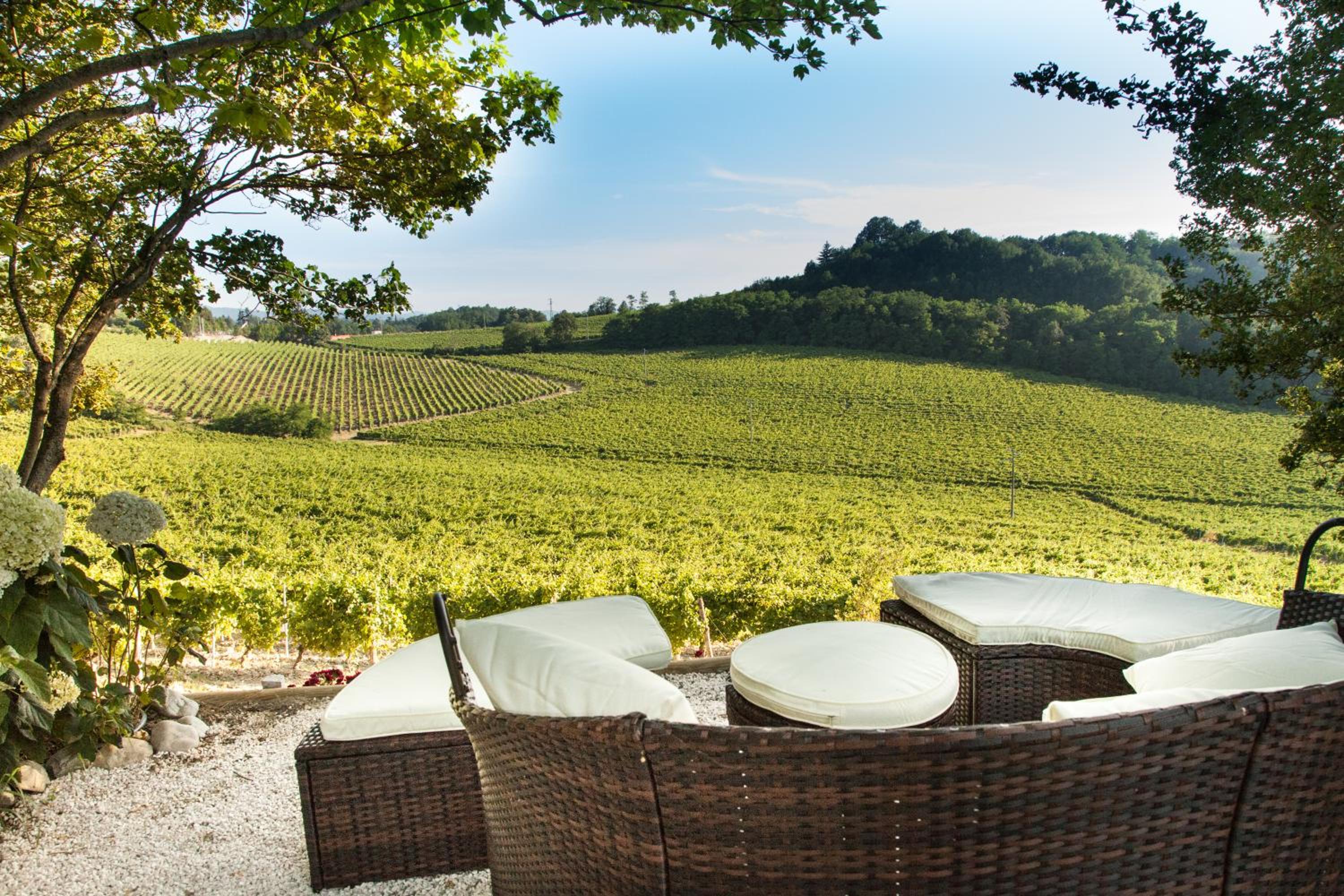 Tenuta La Meirana Gavi