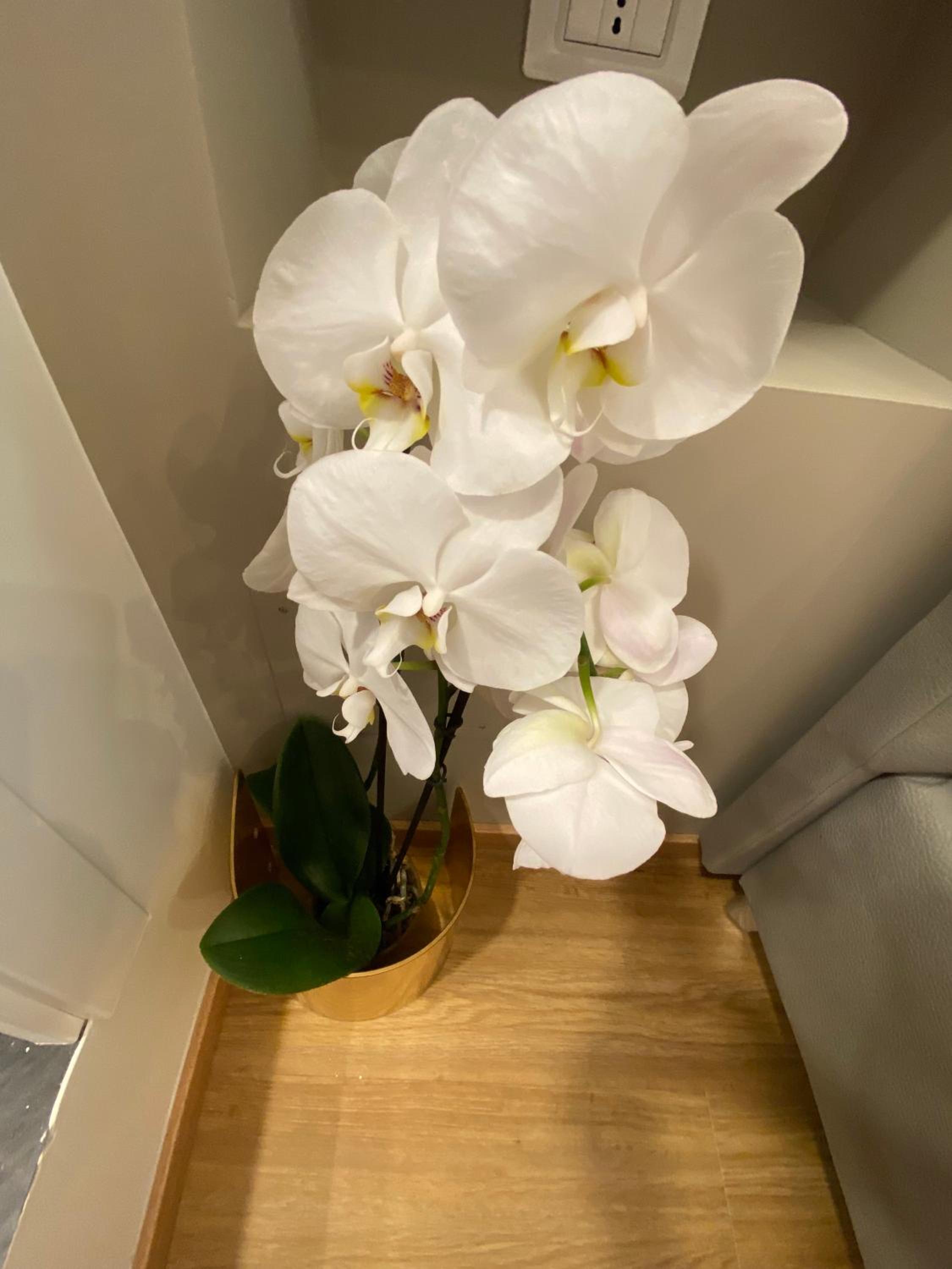 De Vince Suites - Luxury Rooms - Roma Termini