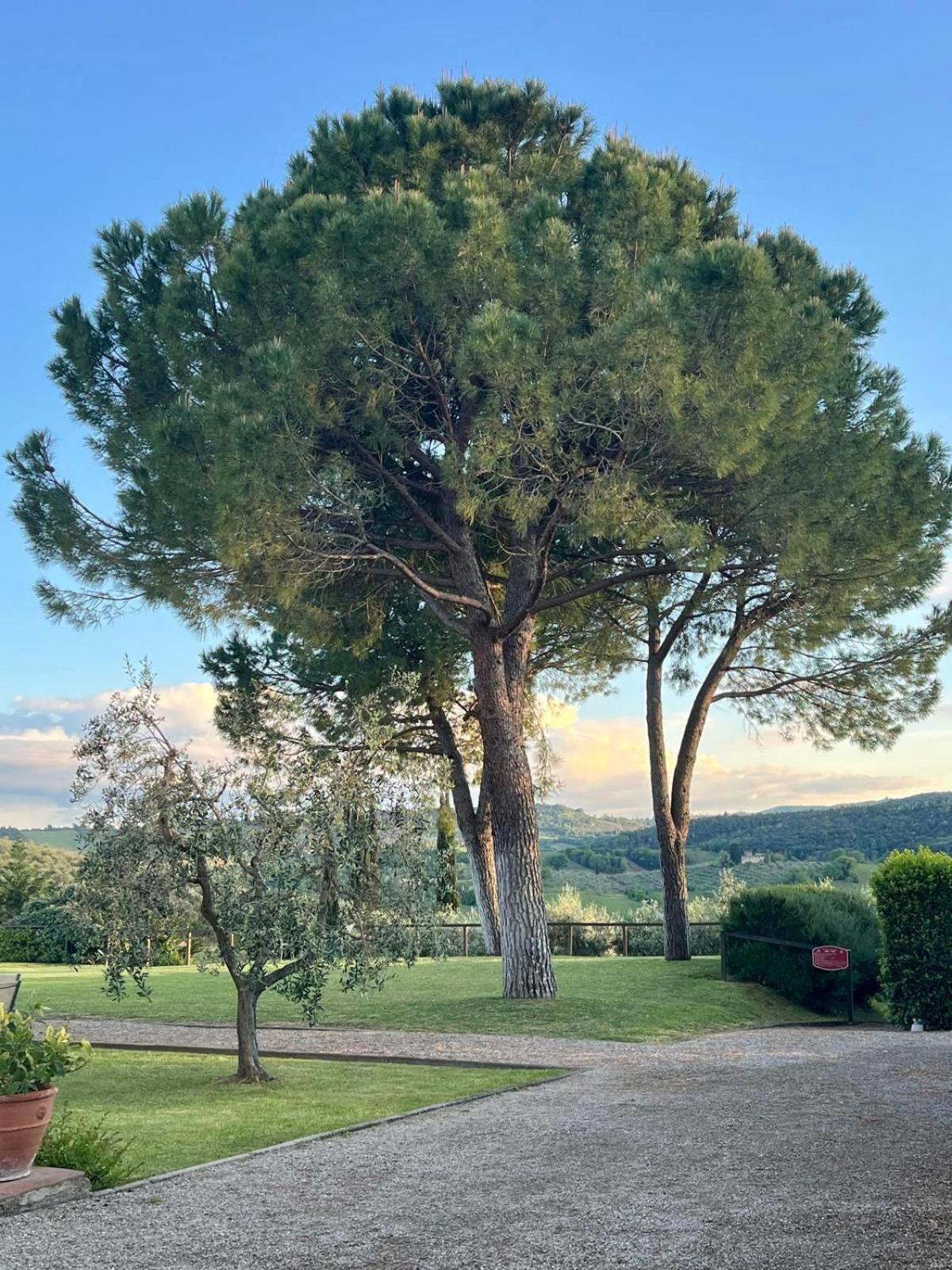 Fattoria Abbazia Monte Oliveto