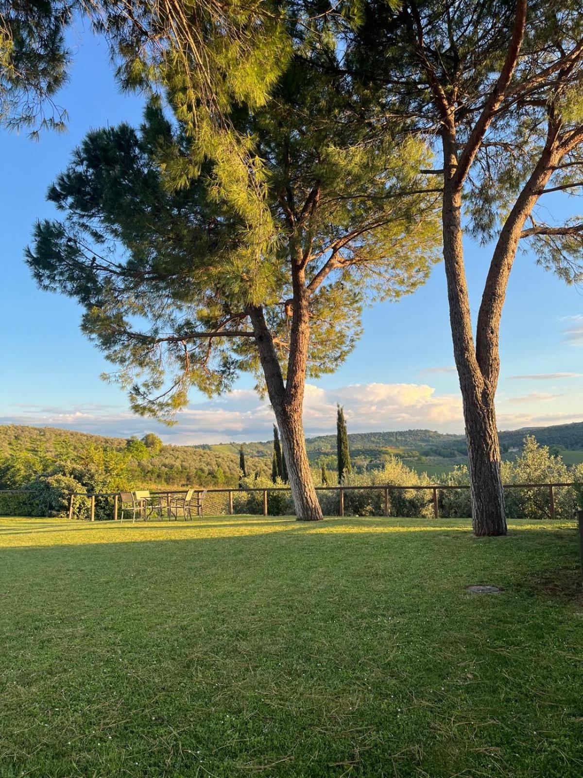 Fattoria Abbazia Monte Oliveto