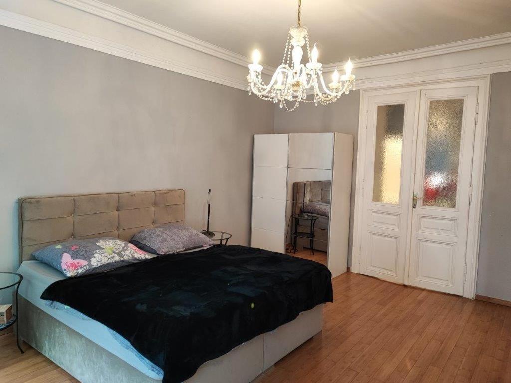 Central Vienna Apartment with unique 40m2 city garden & self check in