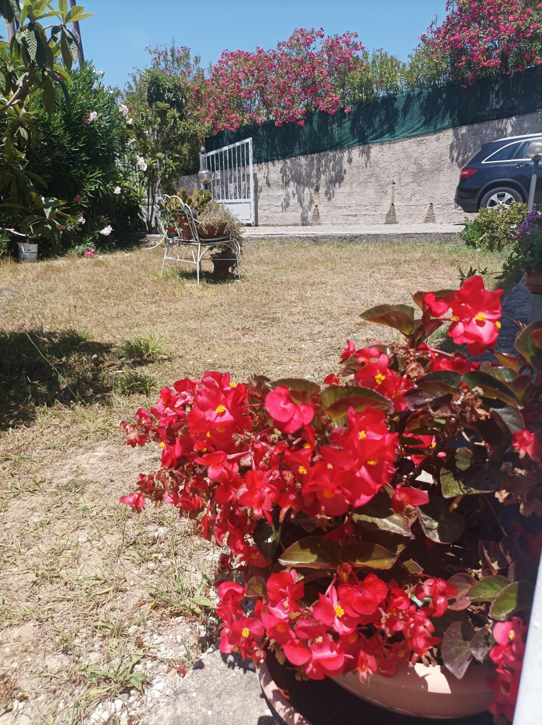 Photo 28