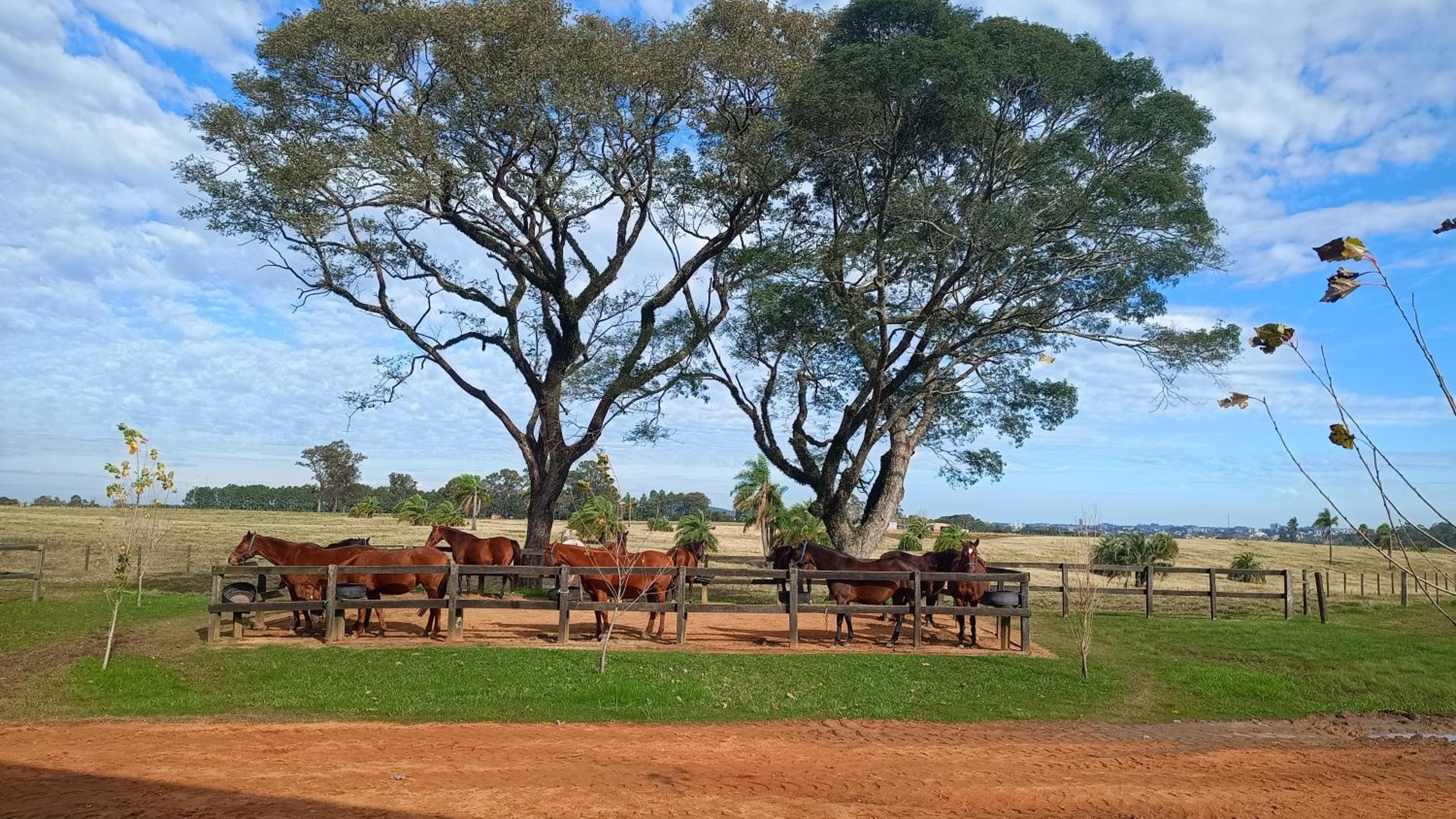 Estalagem Haras Di Cellius