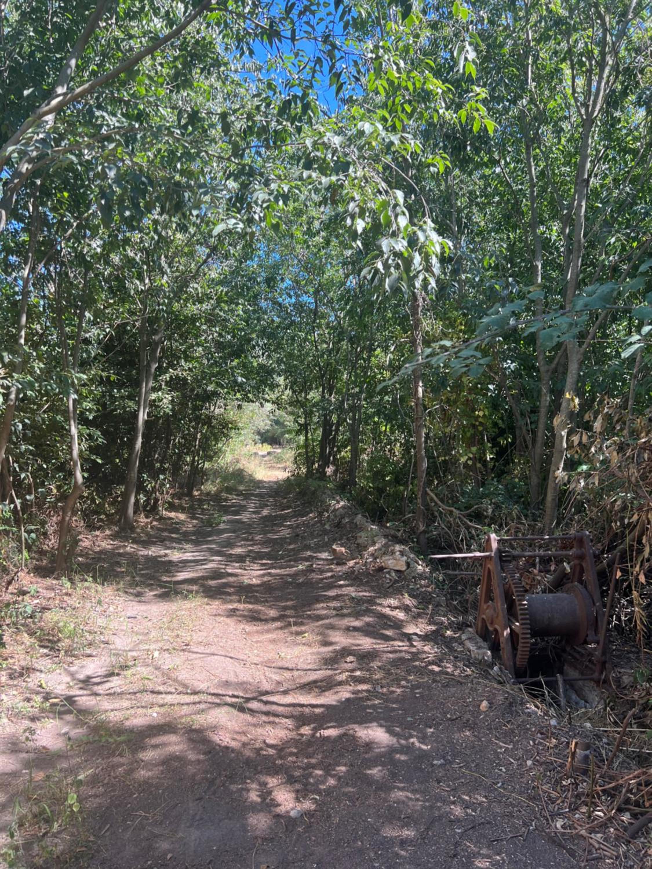 Le Domaine de Fromiga