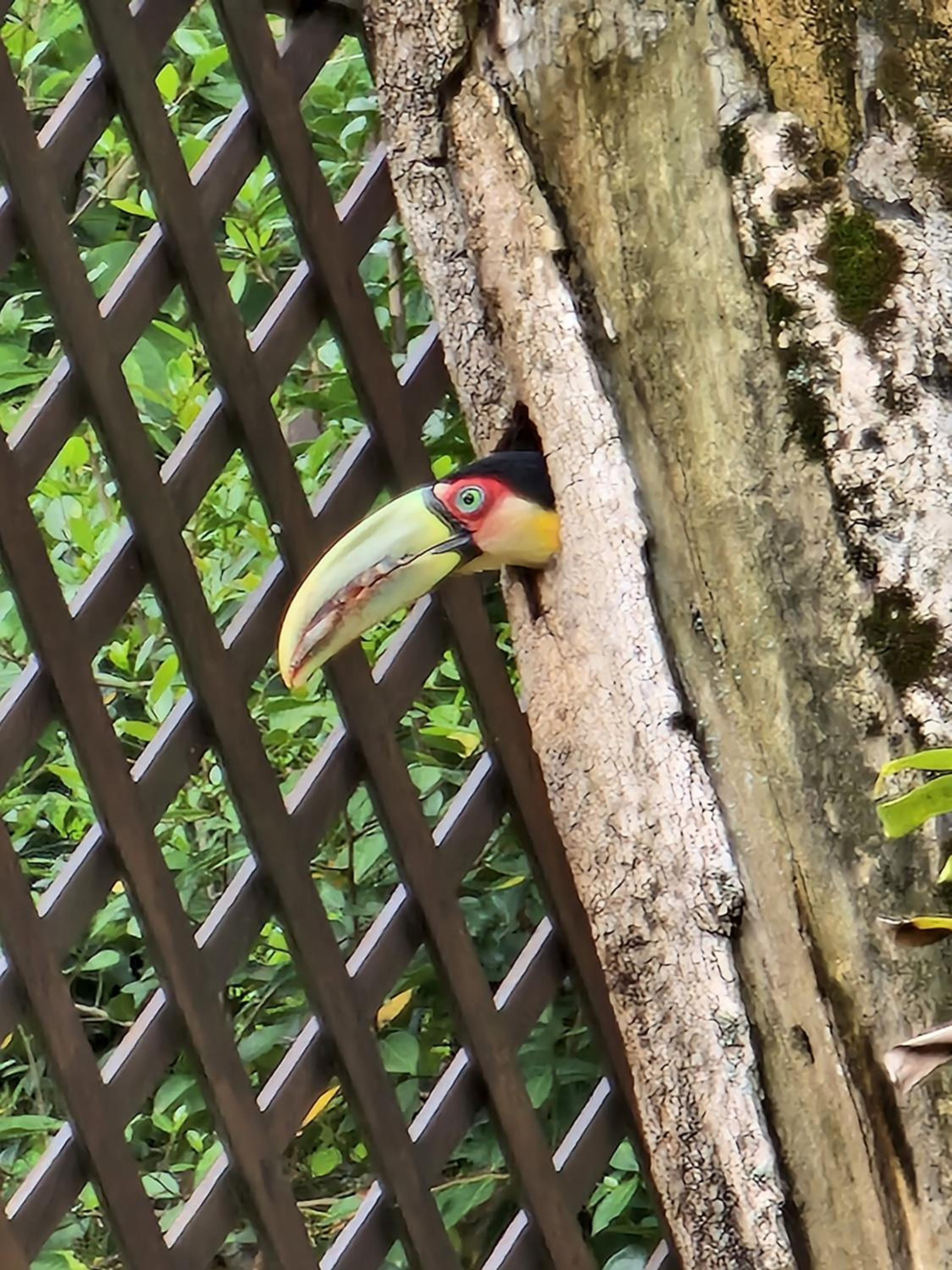 CalaRosa Condomínio