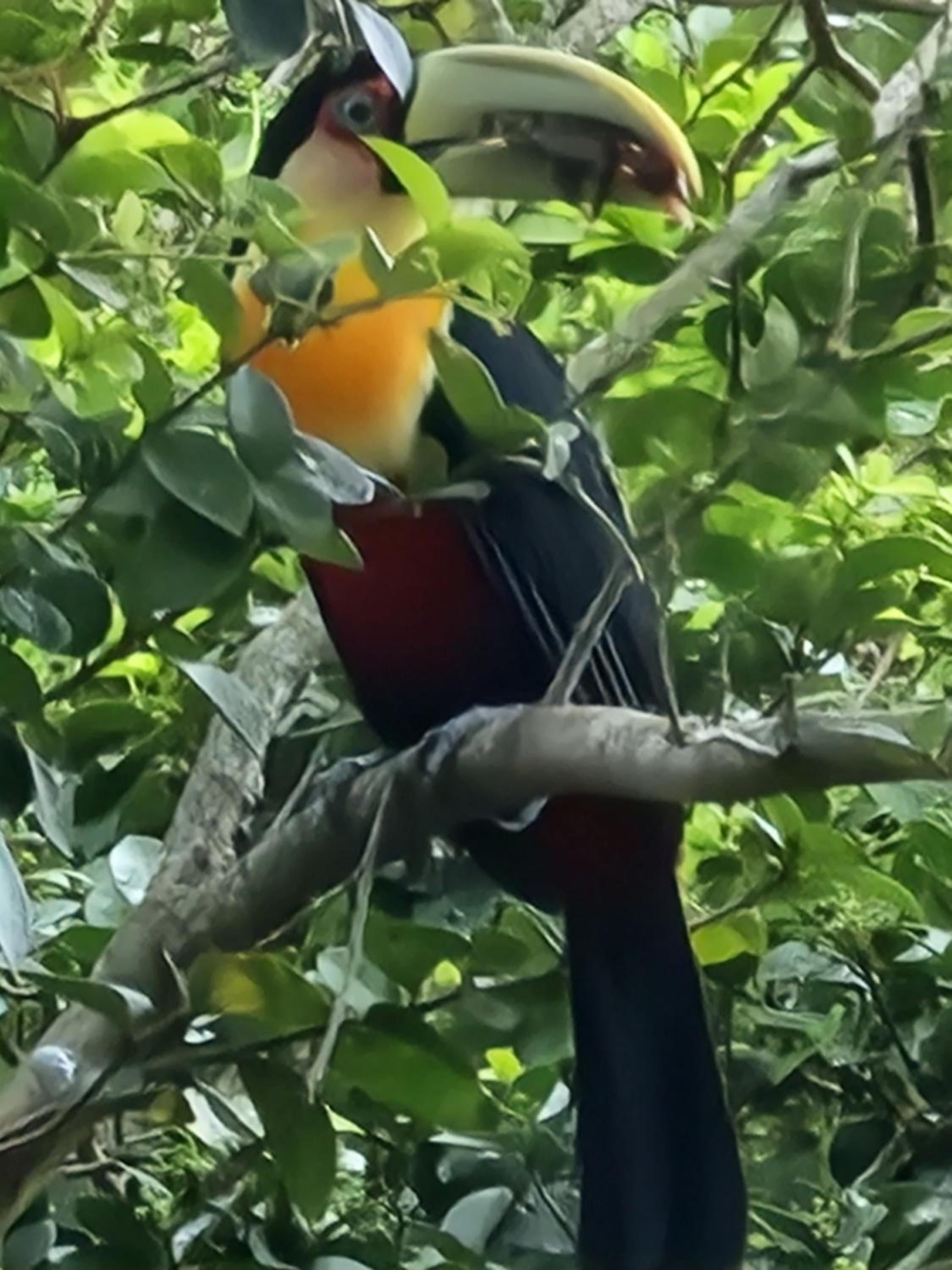 CalaRosa Condomínio