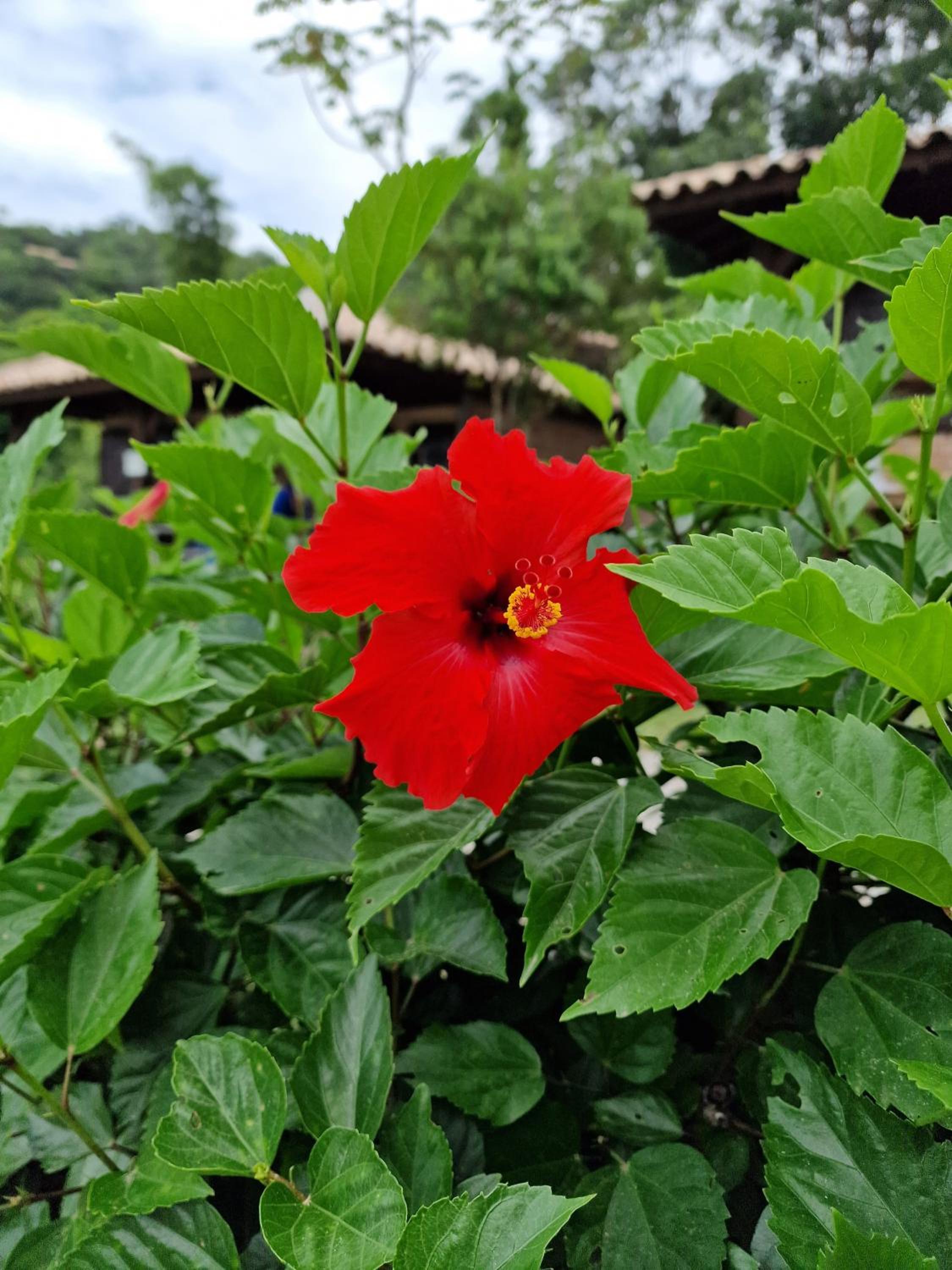 CalaRosa Condomínio
