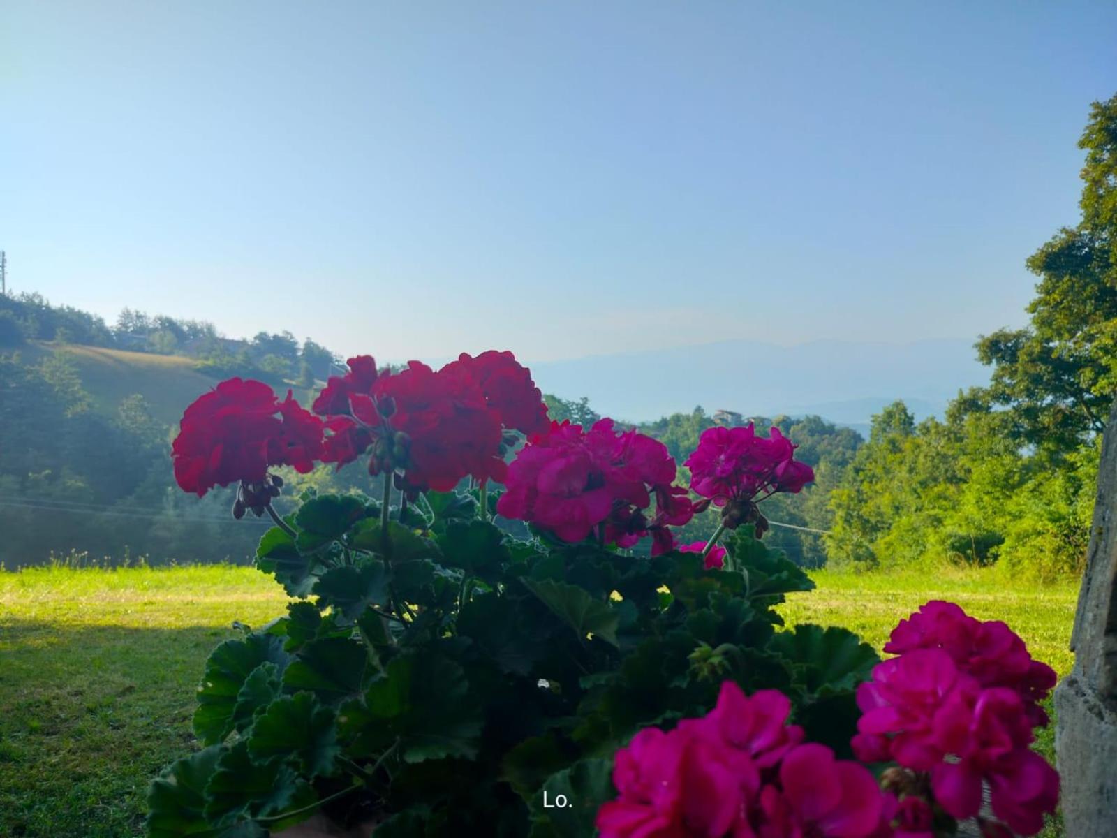 Casale Sambuceto