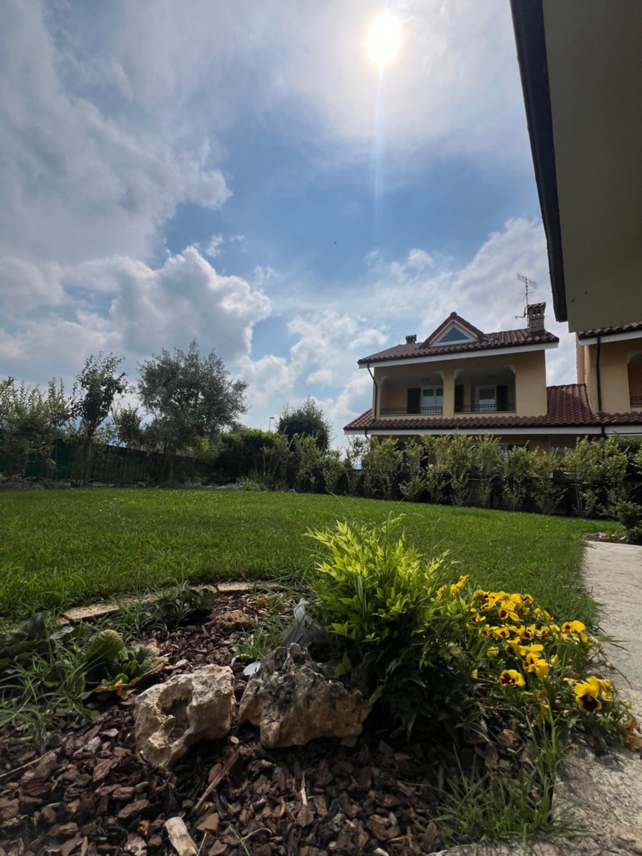 CASA I CEDRI view 5