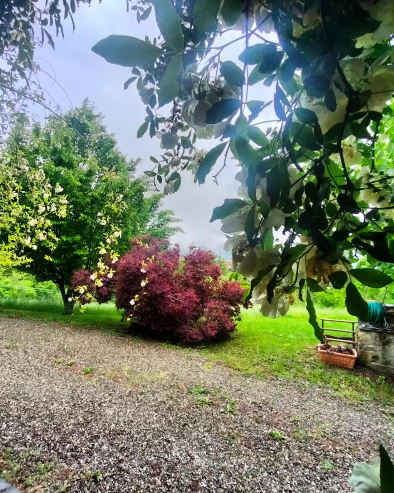Casale Sambuceto