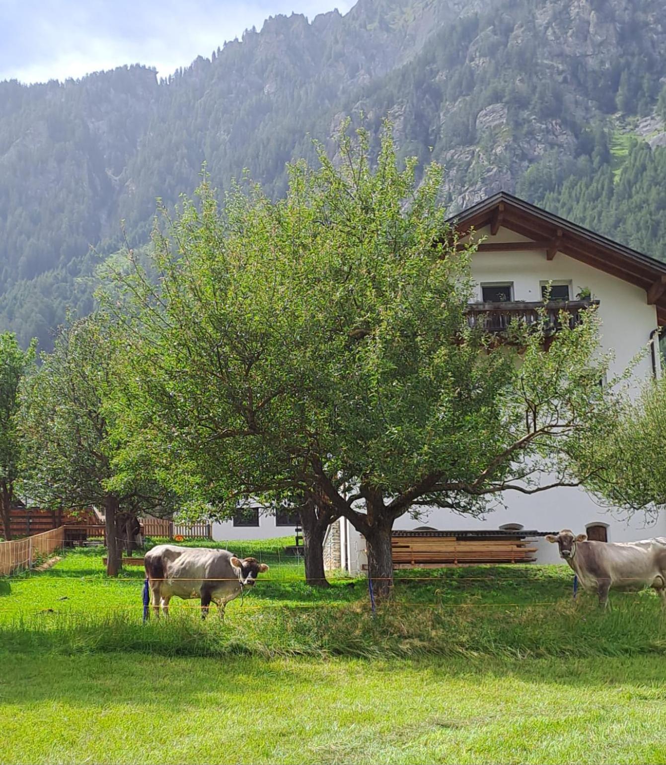 Schalklerhof