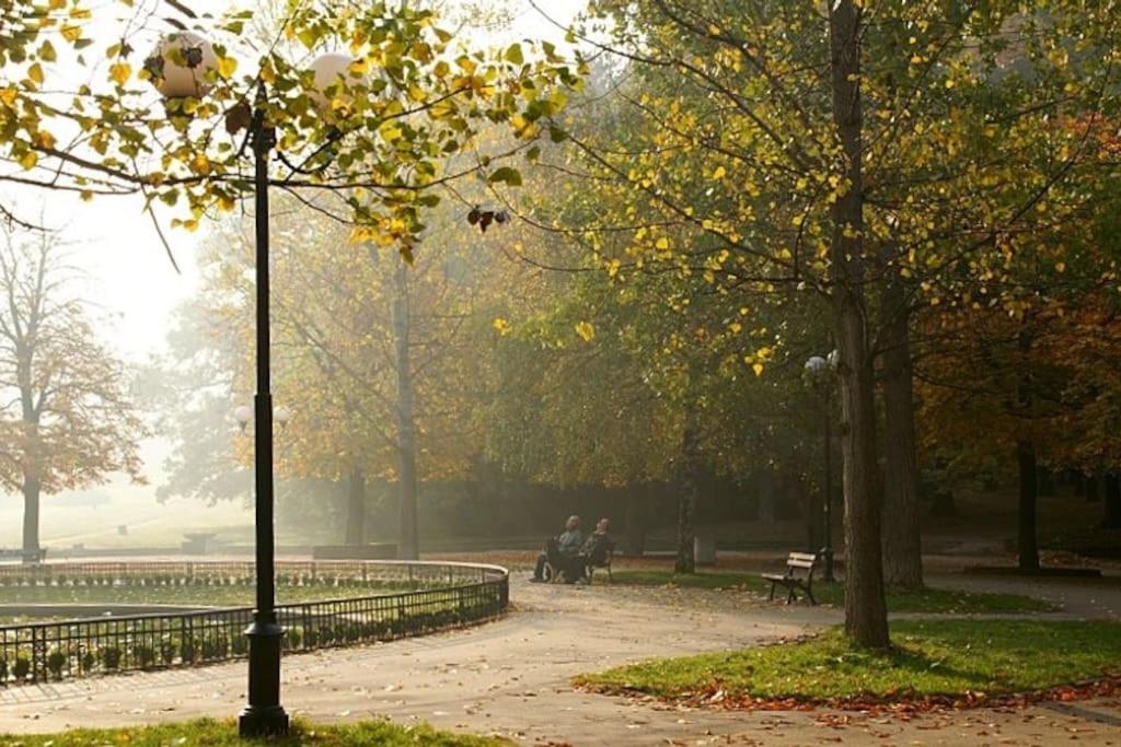 Borisova Garden Skyline by Cosher