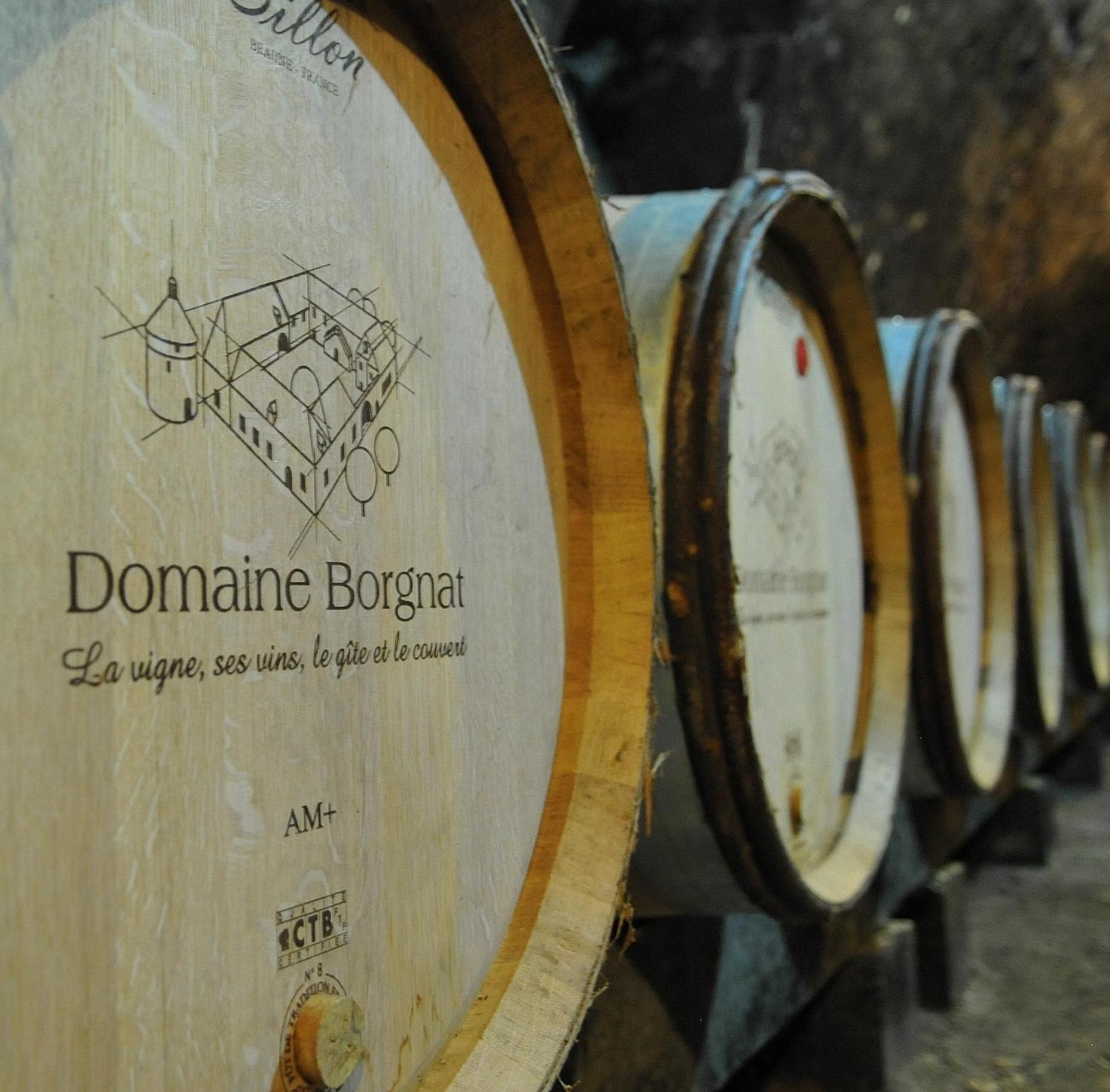 Maison Borgnat domaine viticole