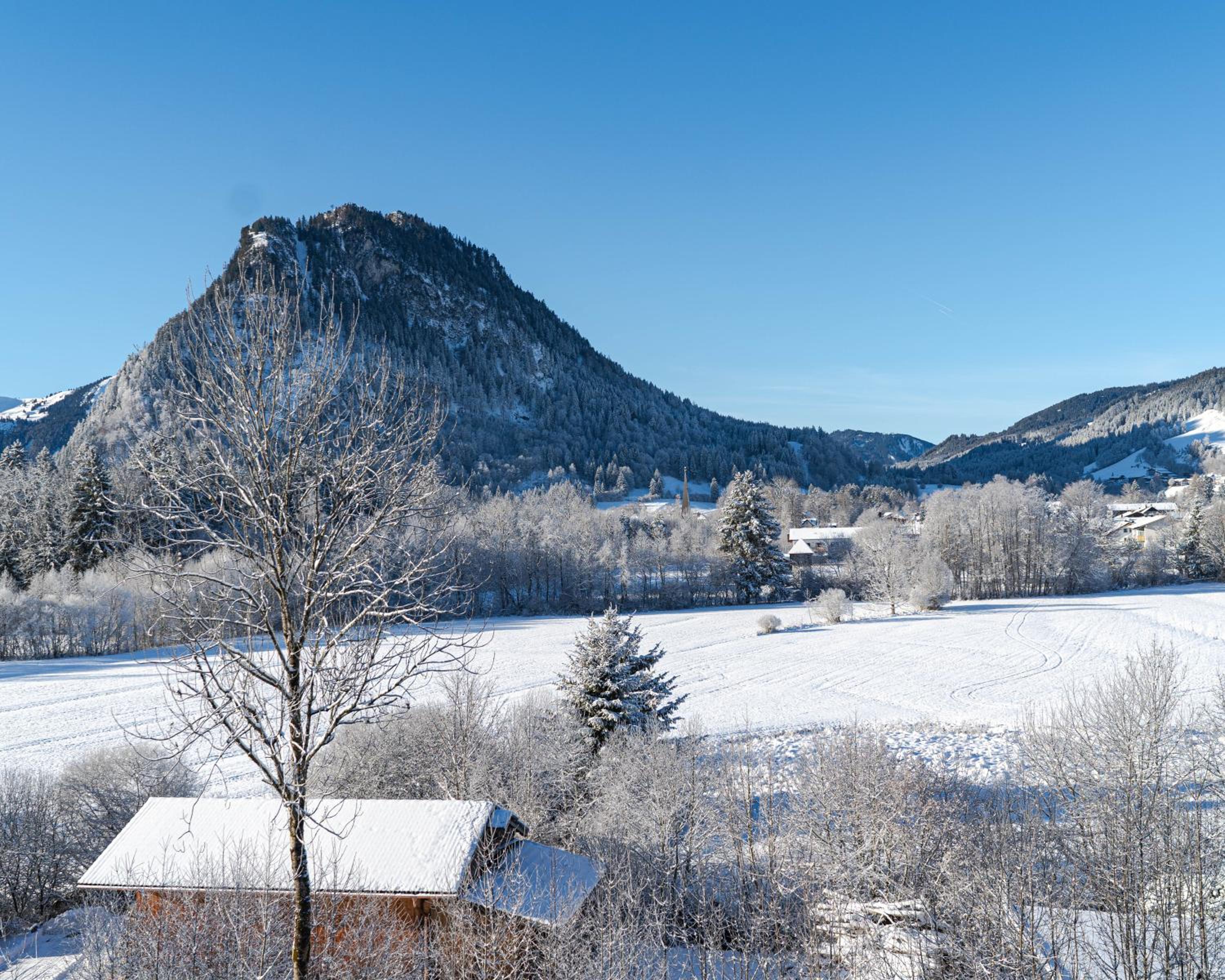 Allgäuer Panoramastube I WIFI I Parken I Sport