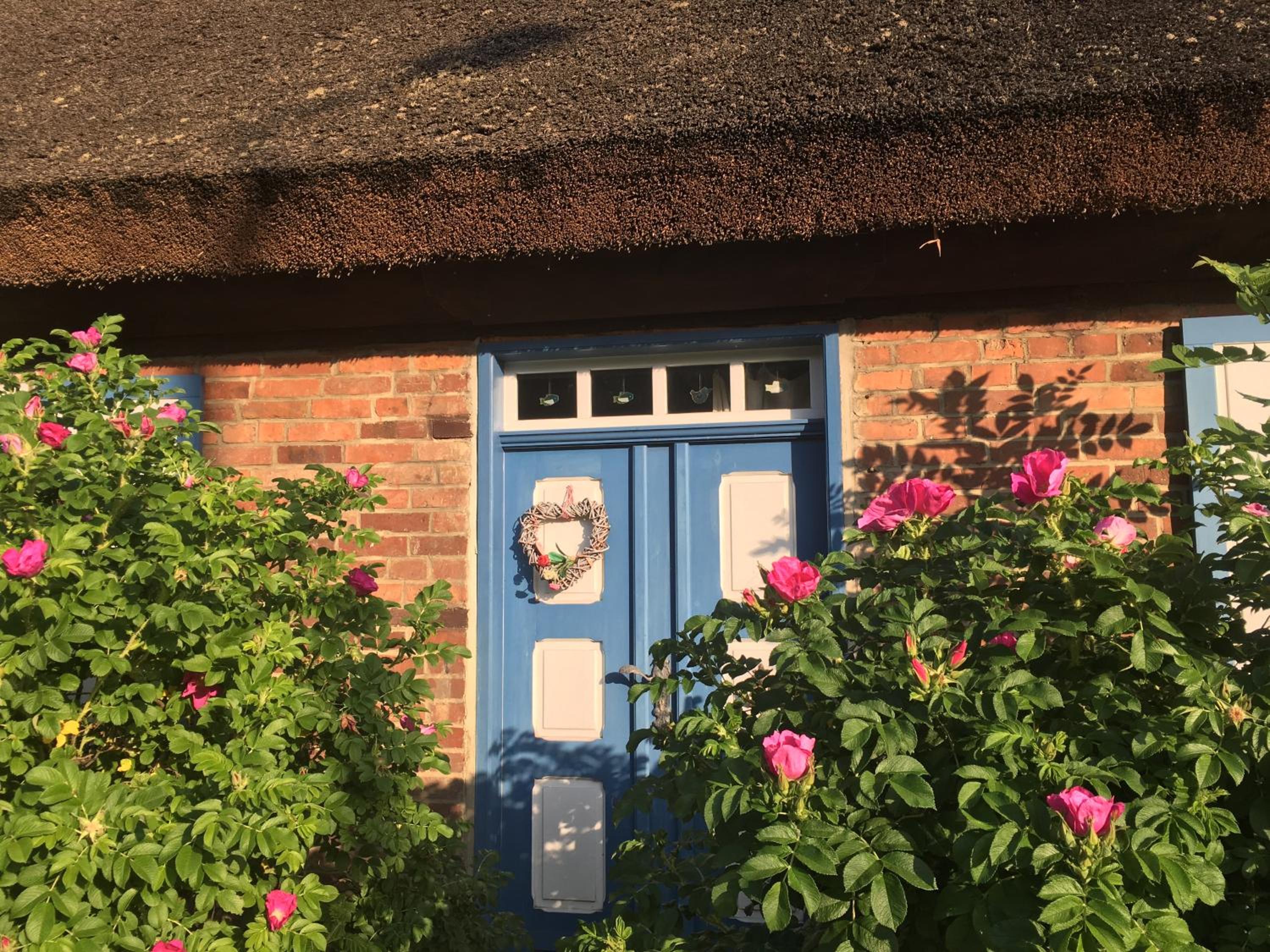 Alte Kate mit Bau-& Zirkuswagen im Gartenidyll in Putbus OT Kasnevitz