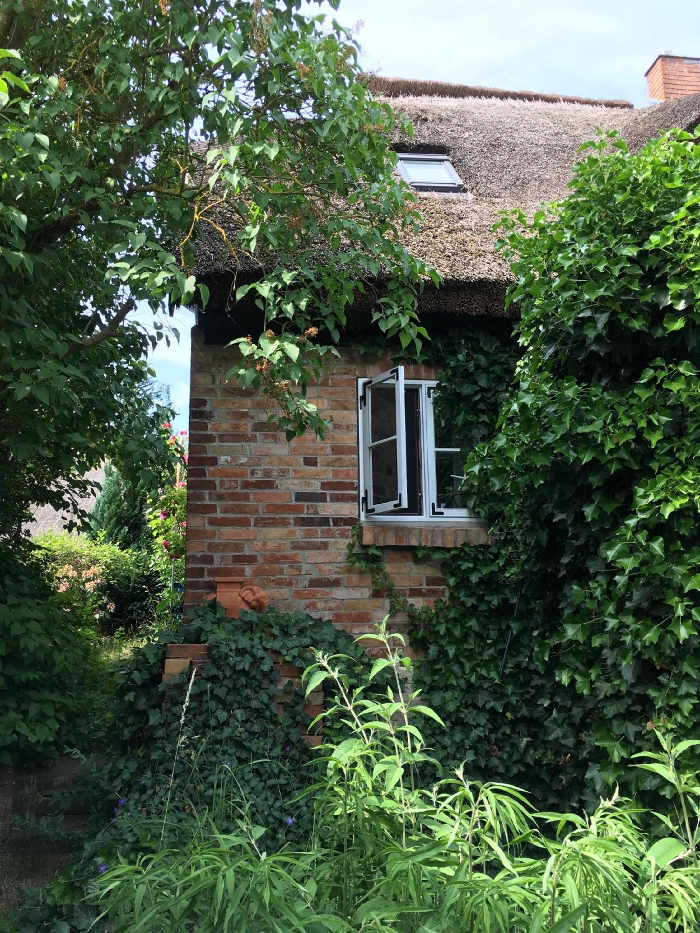 Alte Kate mit Bau-& Zirkuswagen im Gartenidyll in Putbus OT Kasnevitz