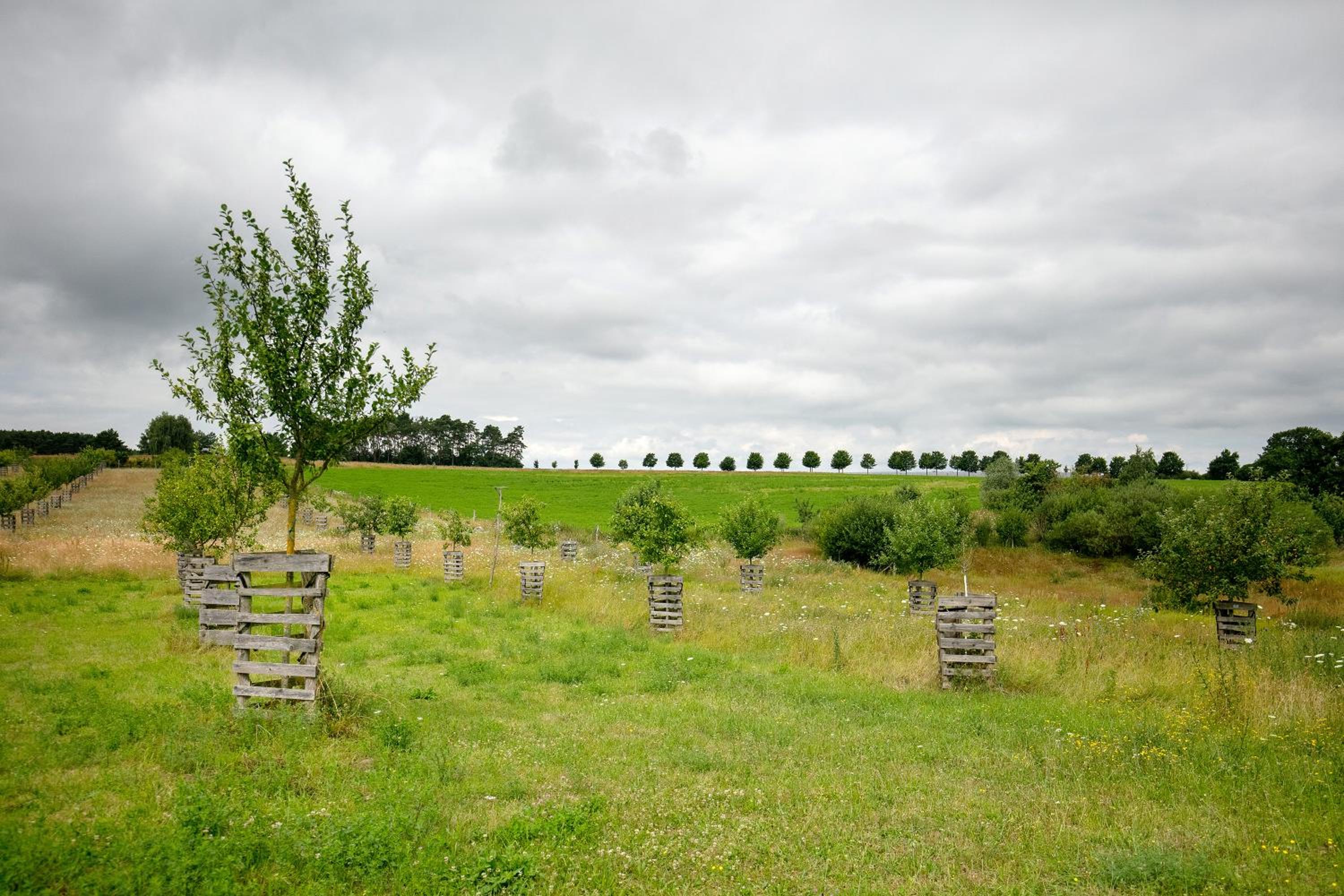 Seminarhof Mollandur