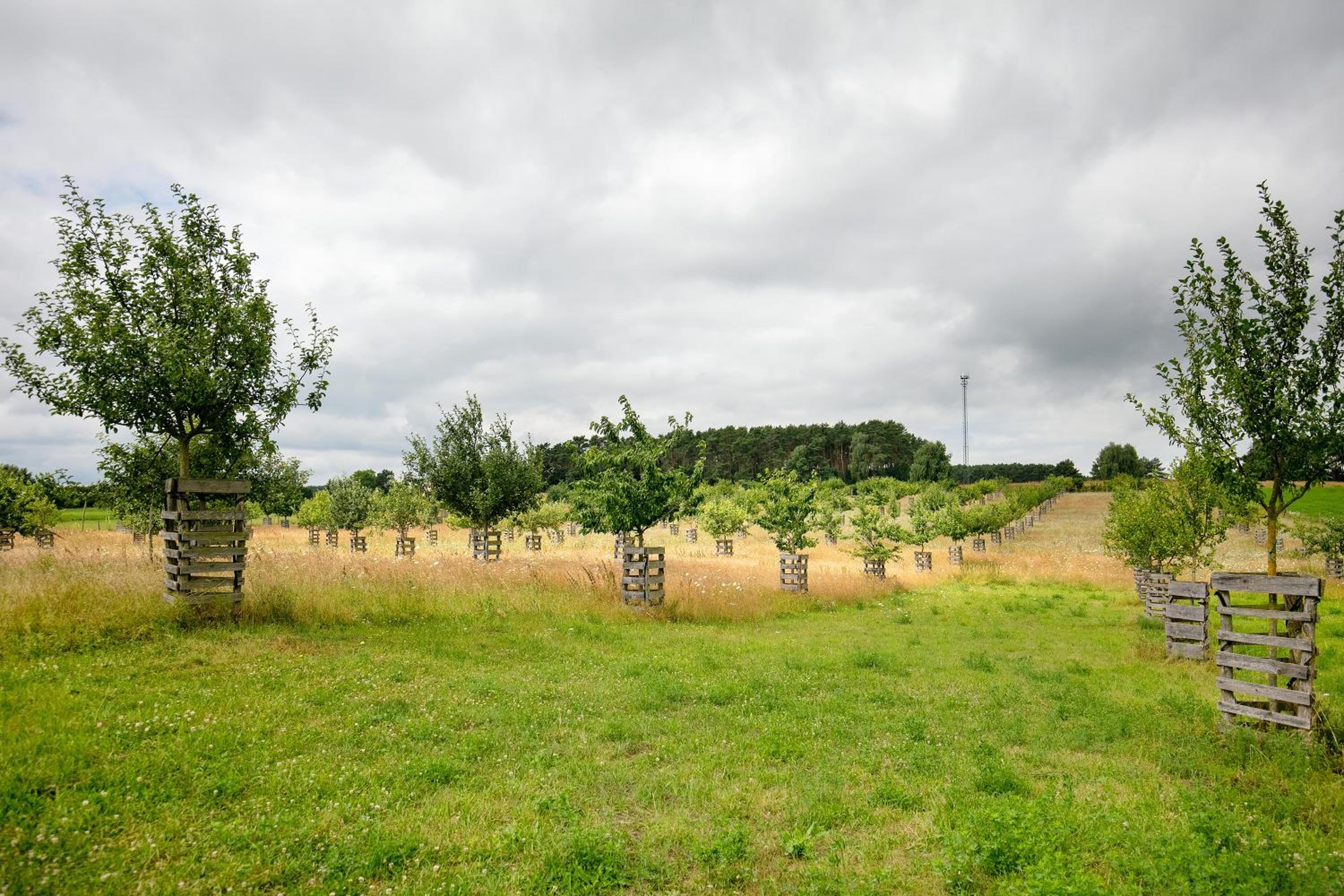 Seminarhof Mollandur