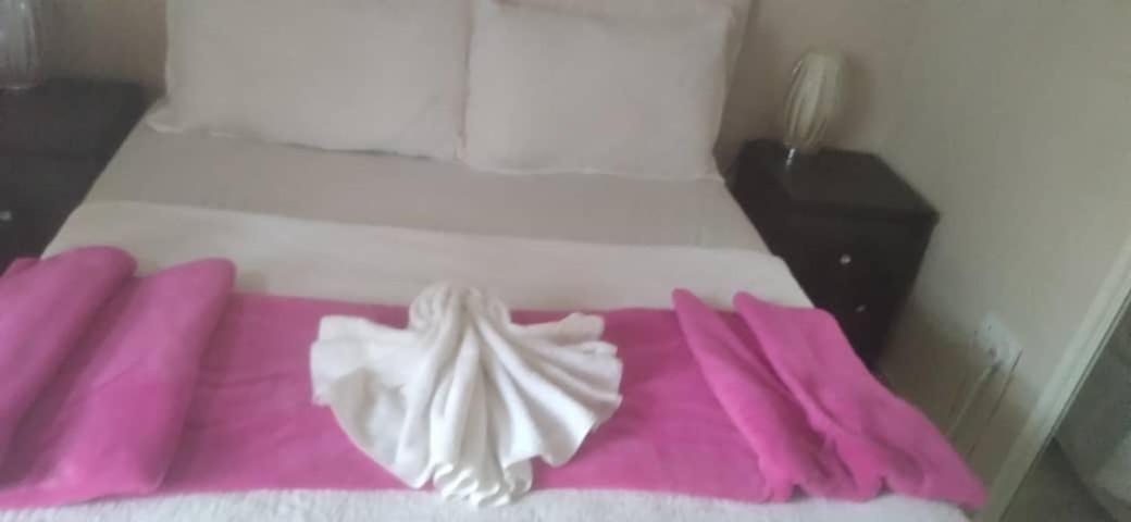 Apelles Palace Guest House