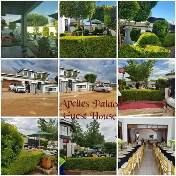 Apelles Palace Guest House
