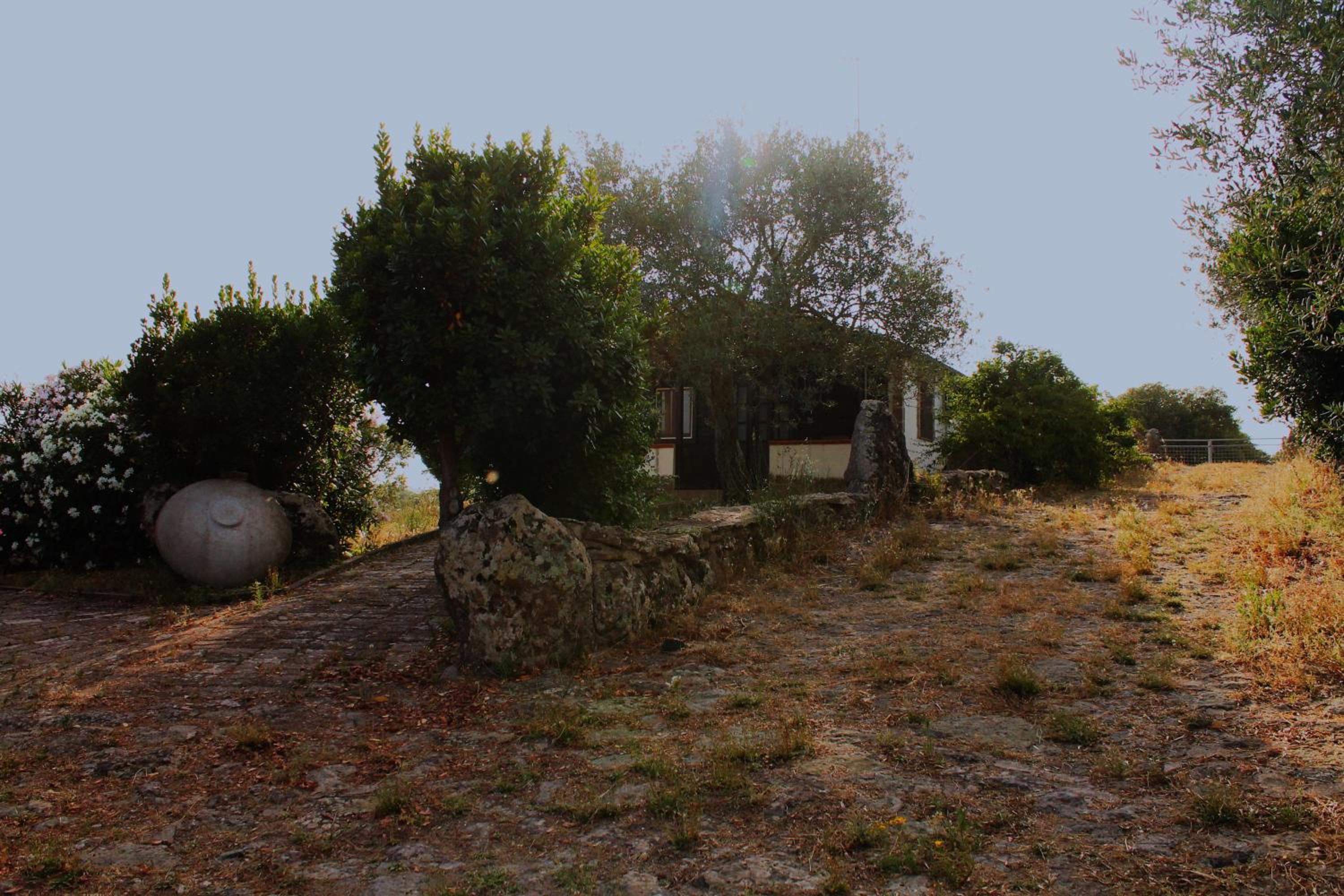 Agriturismo Su Recreu
