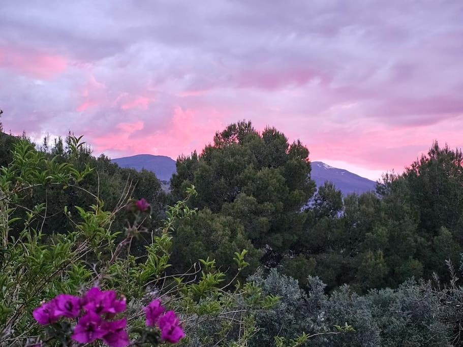 Villa Finca el Carril